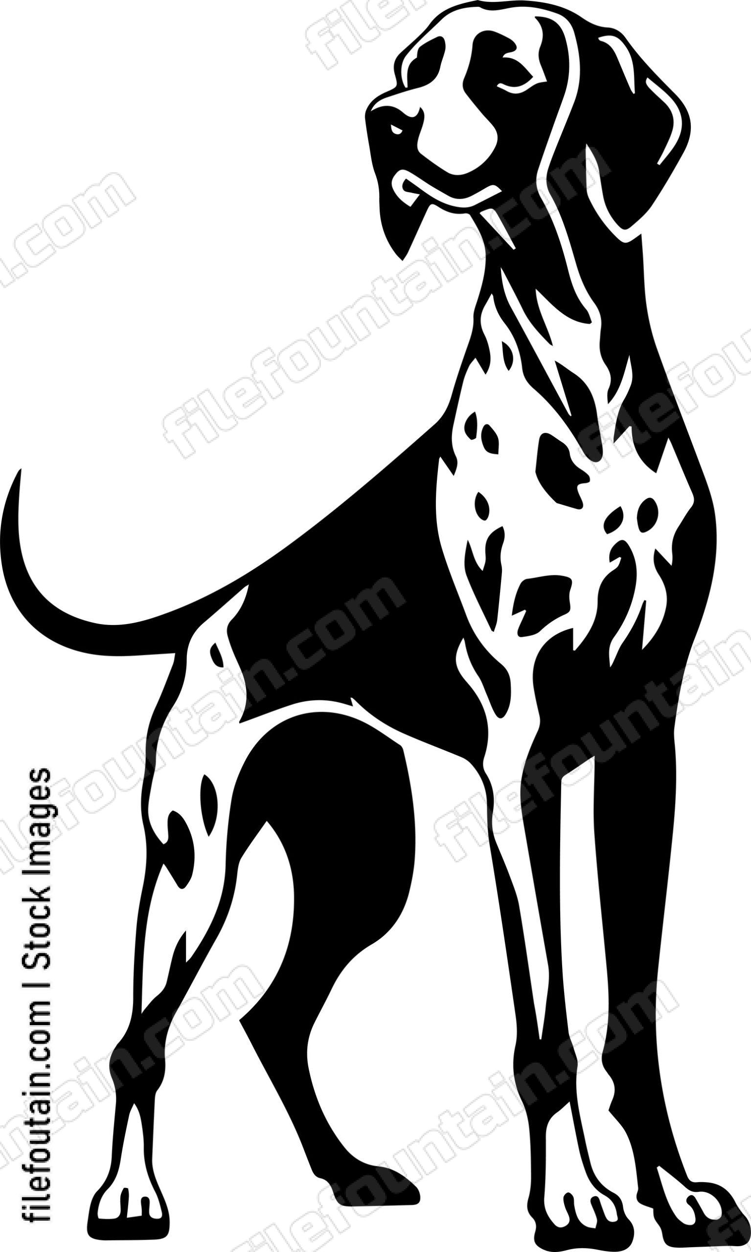 German Shorthaired Pointer