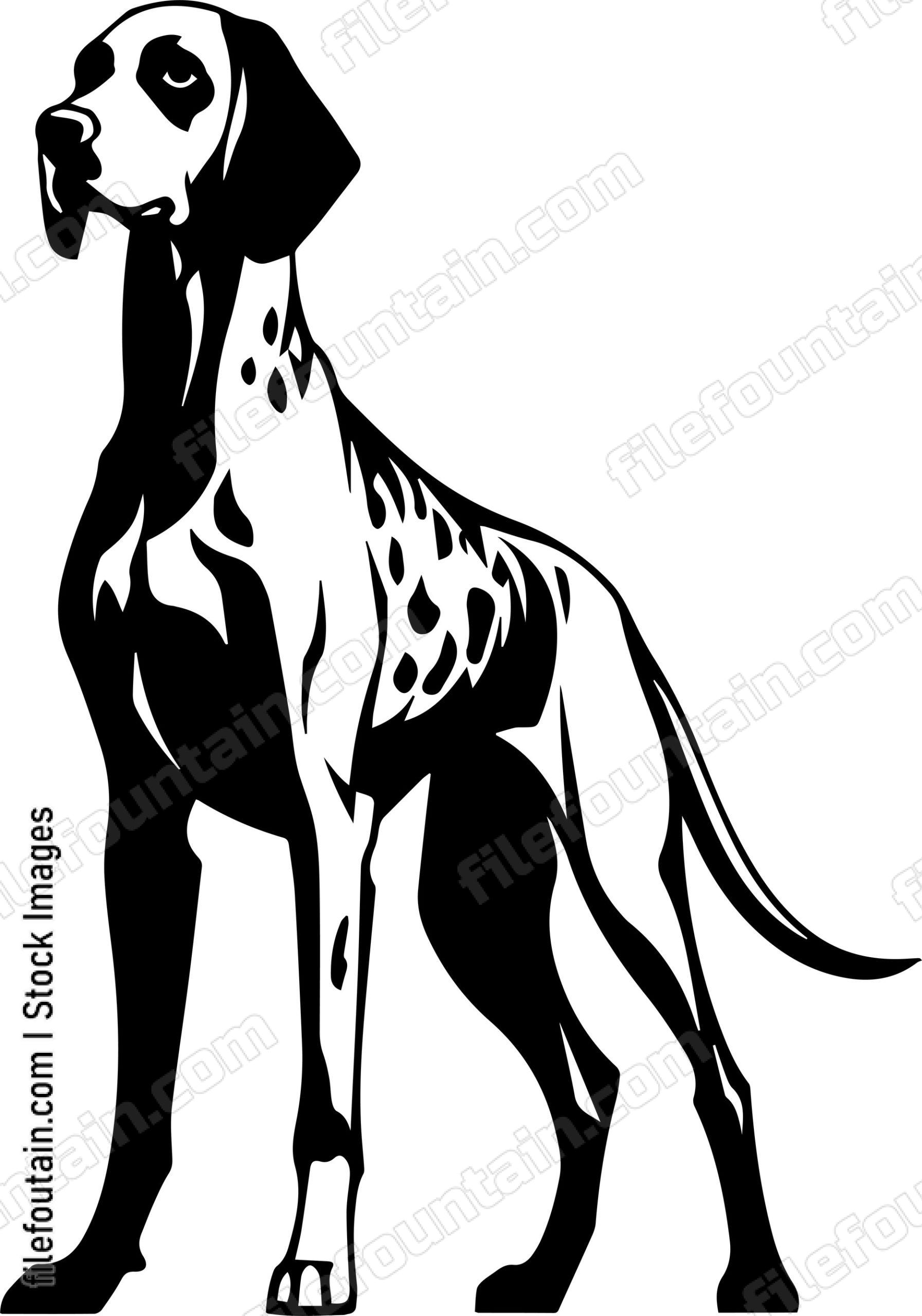 German Shorthaired Pointer