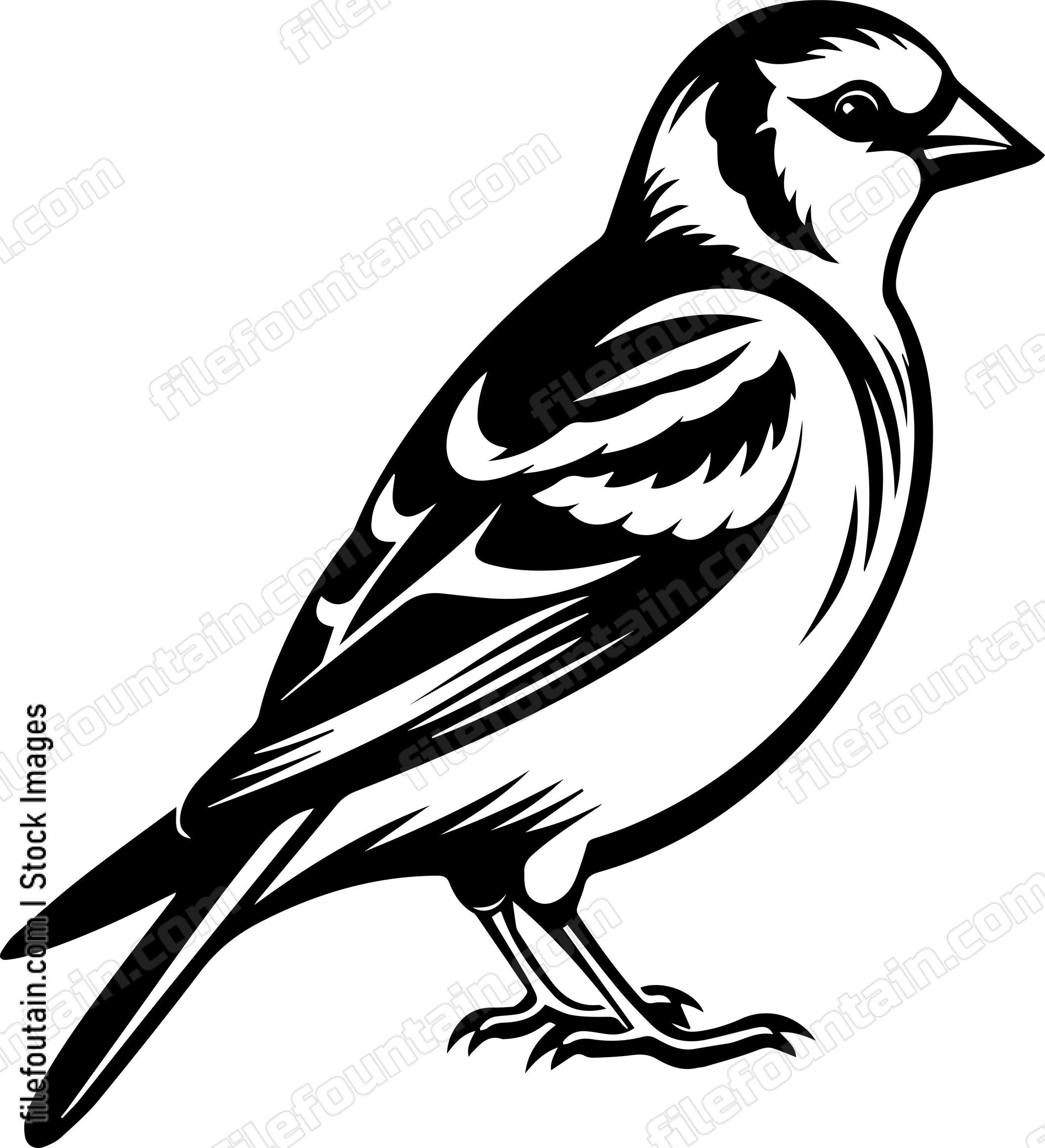 Goldfinch