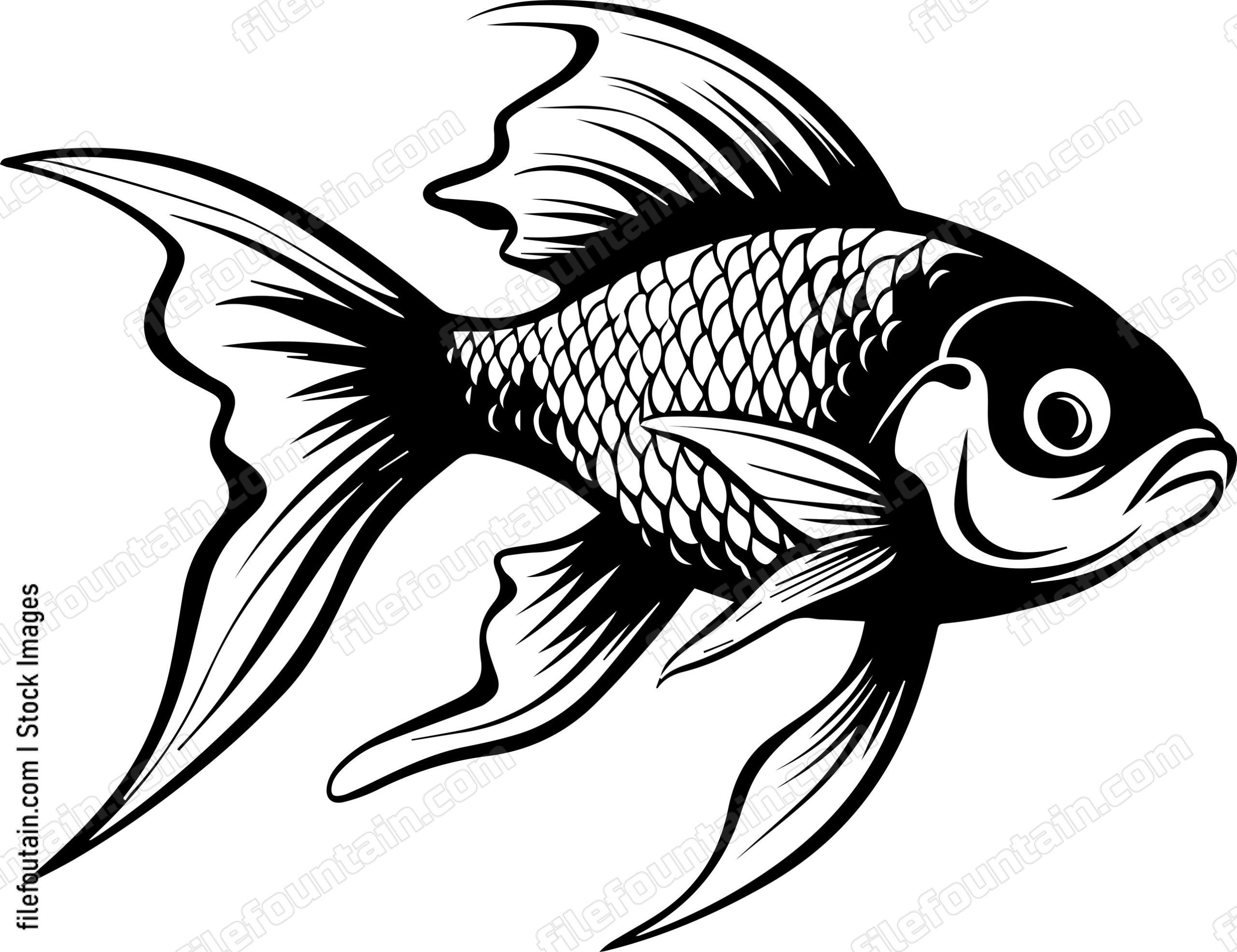 Goldfish