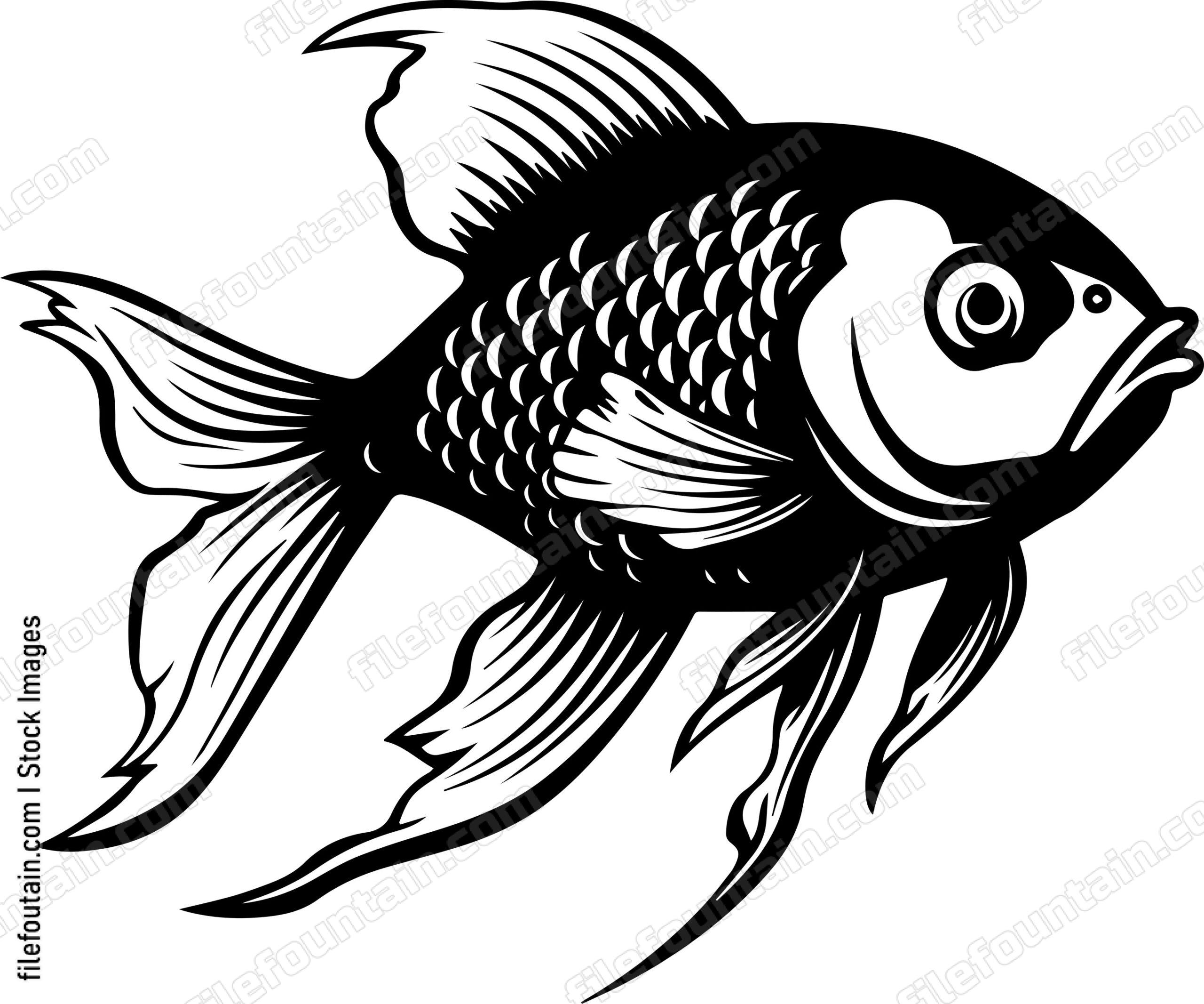 Goldfish