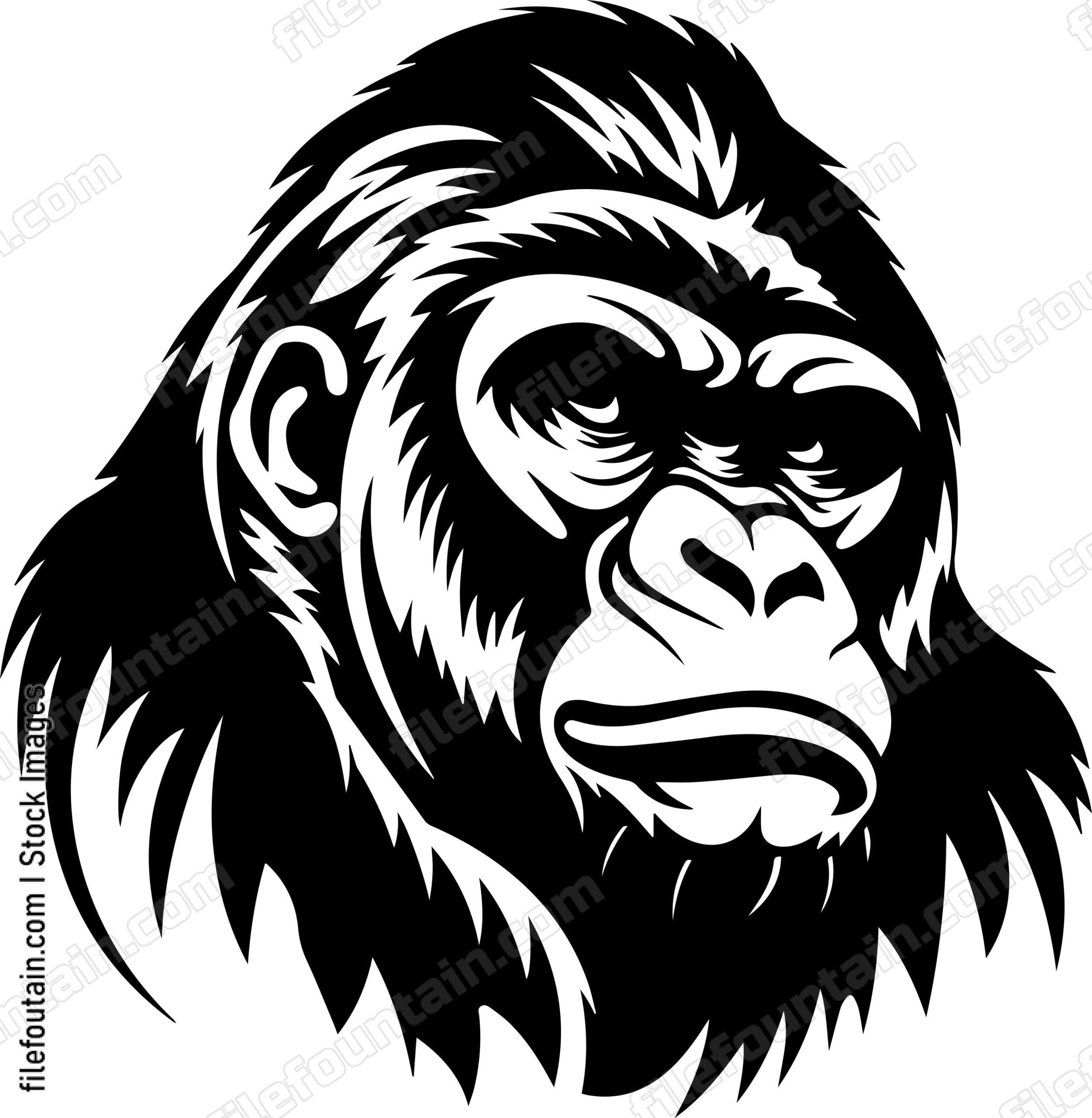 Gorilla