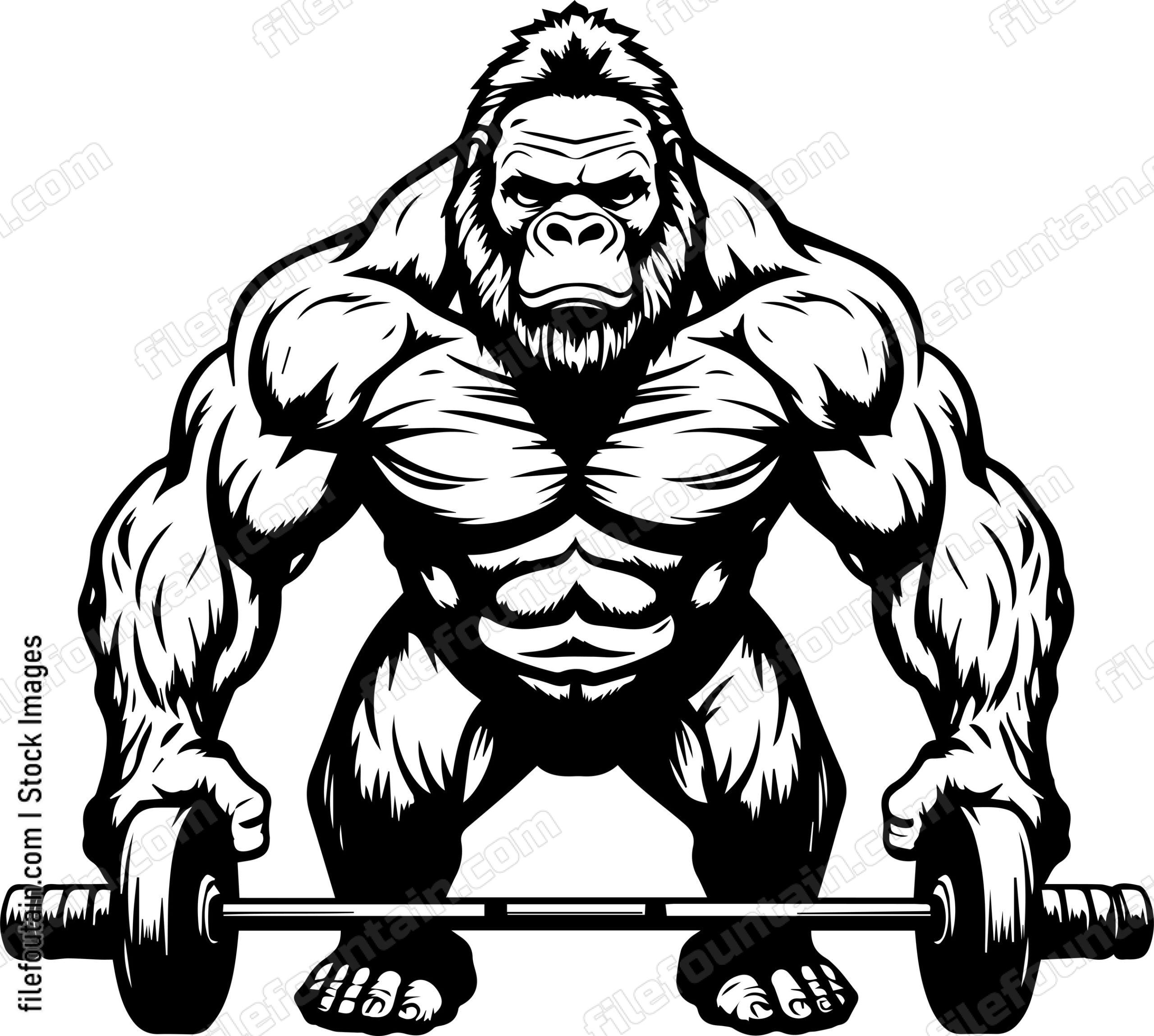 Gorilla Lifting Weights