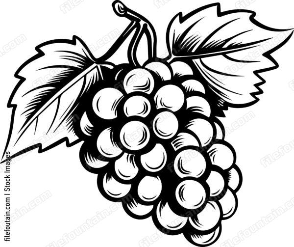 Grape Cluster