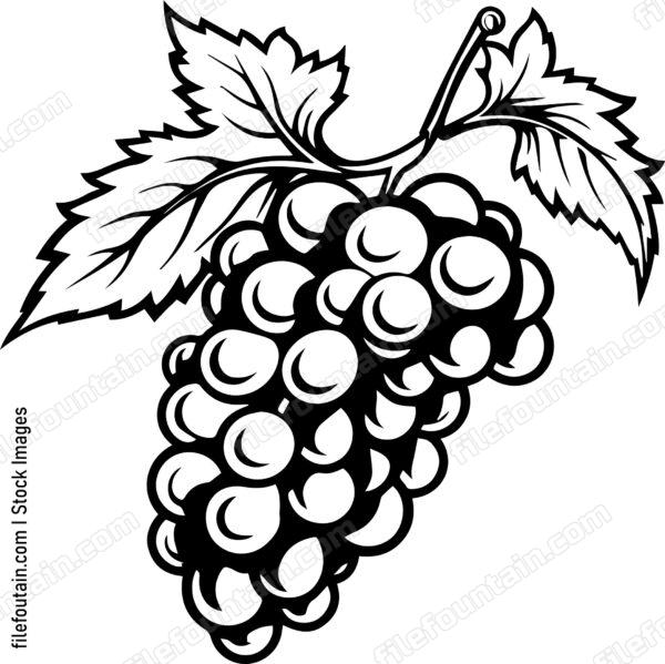 Grape Cluster Design