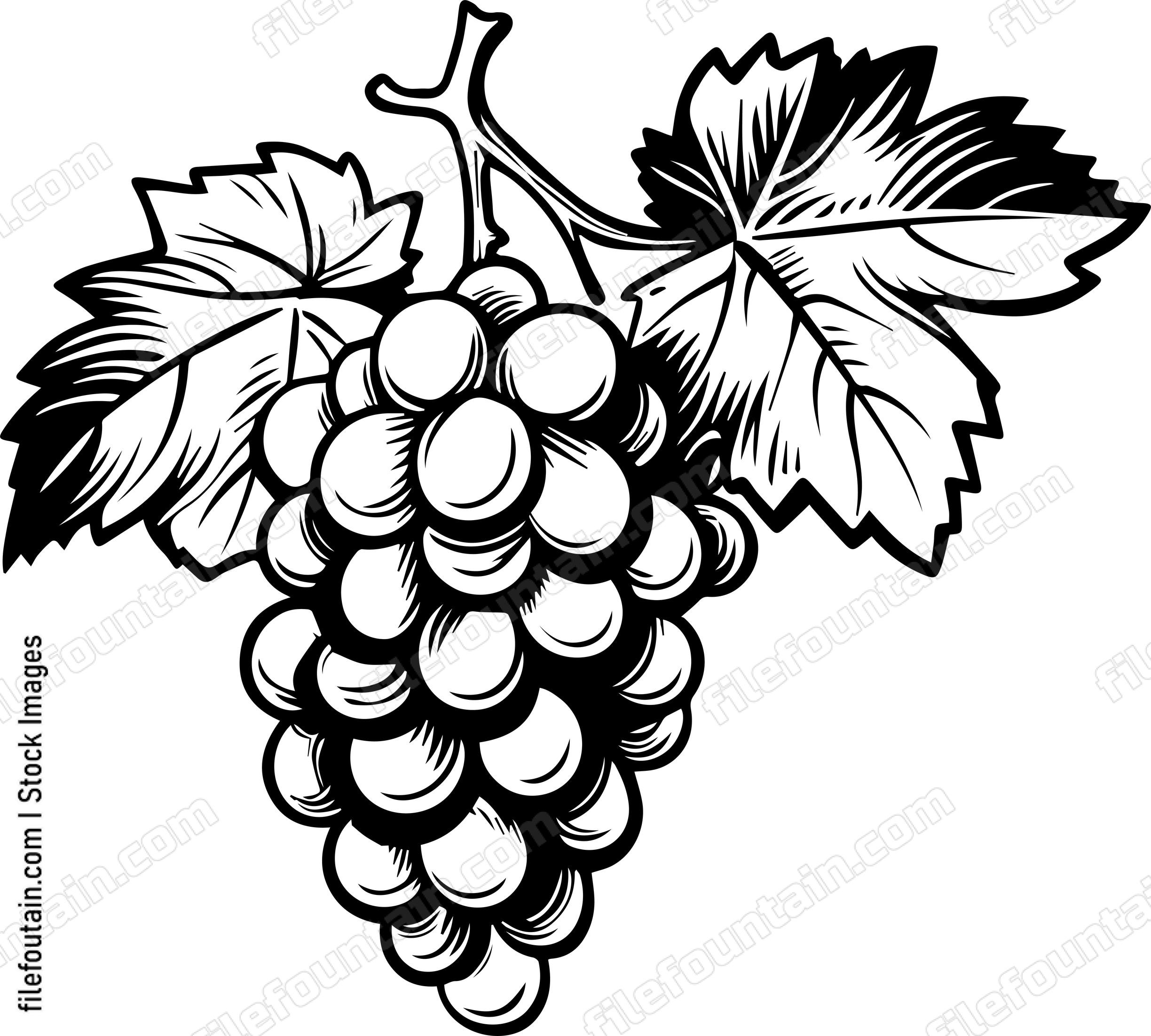 Grape Cluster Design