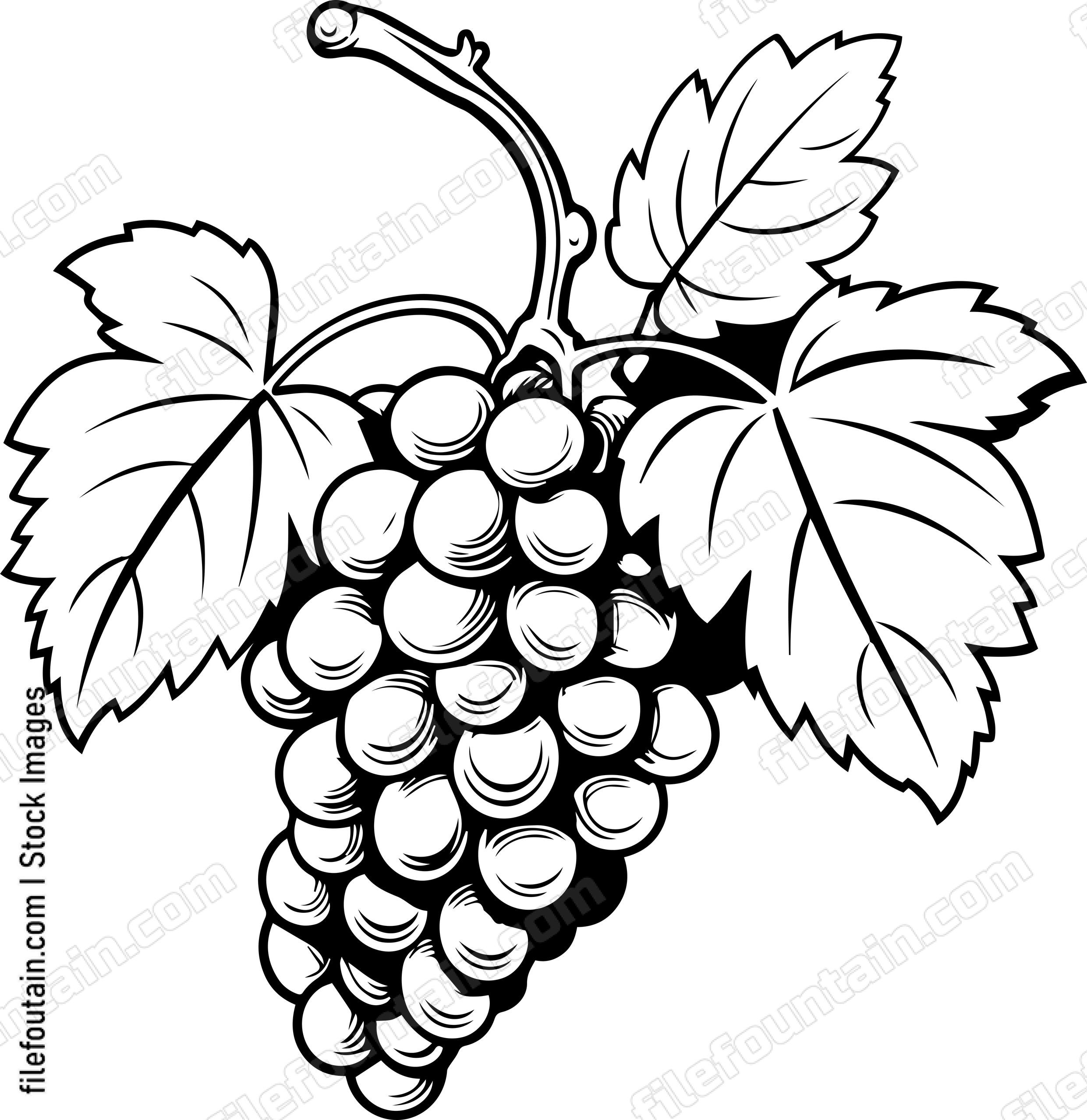 Grape Cluster Design
