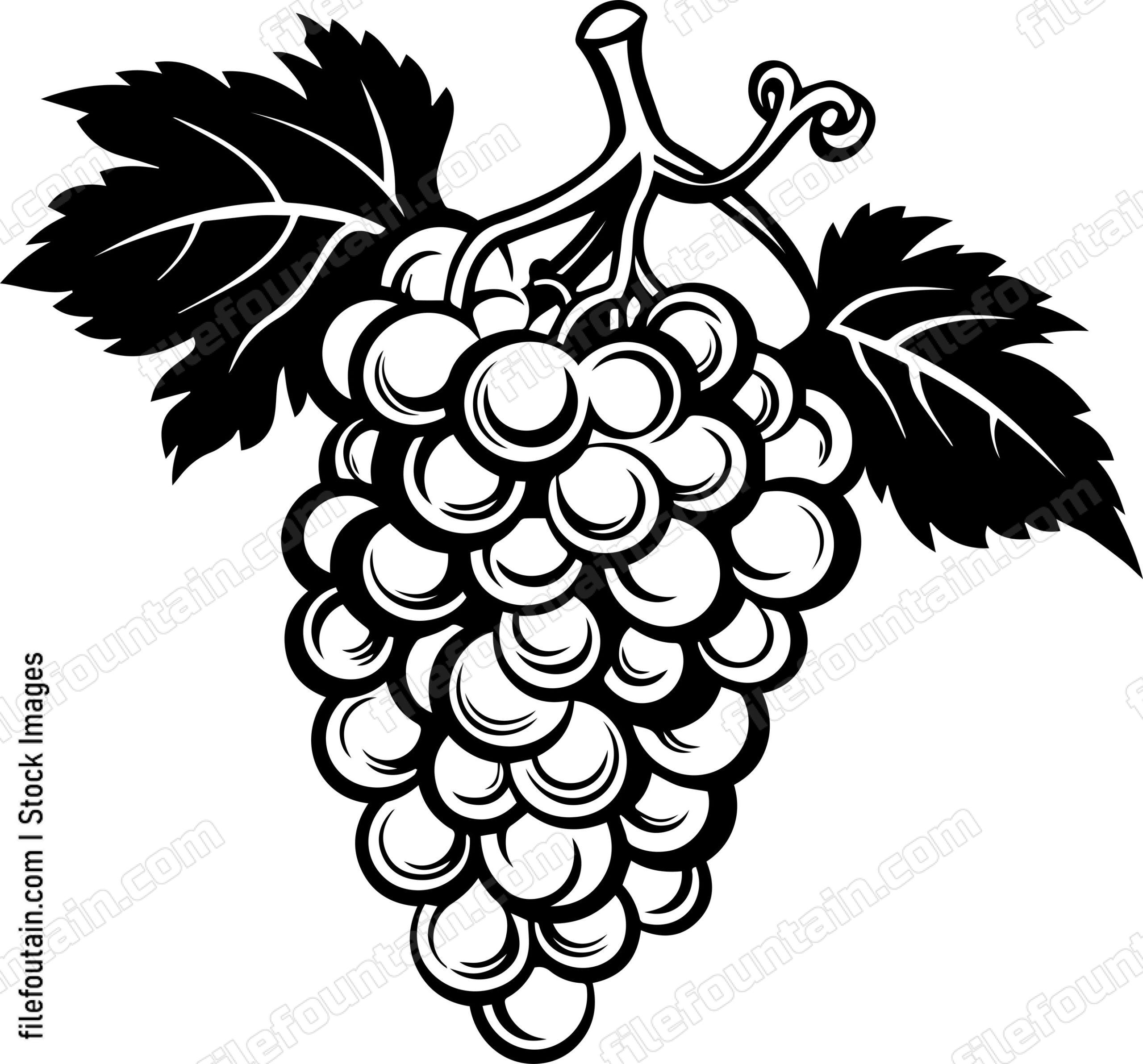 Grape Cluster Simple