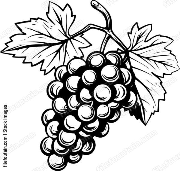 Grape Cluster Simple