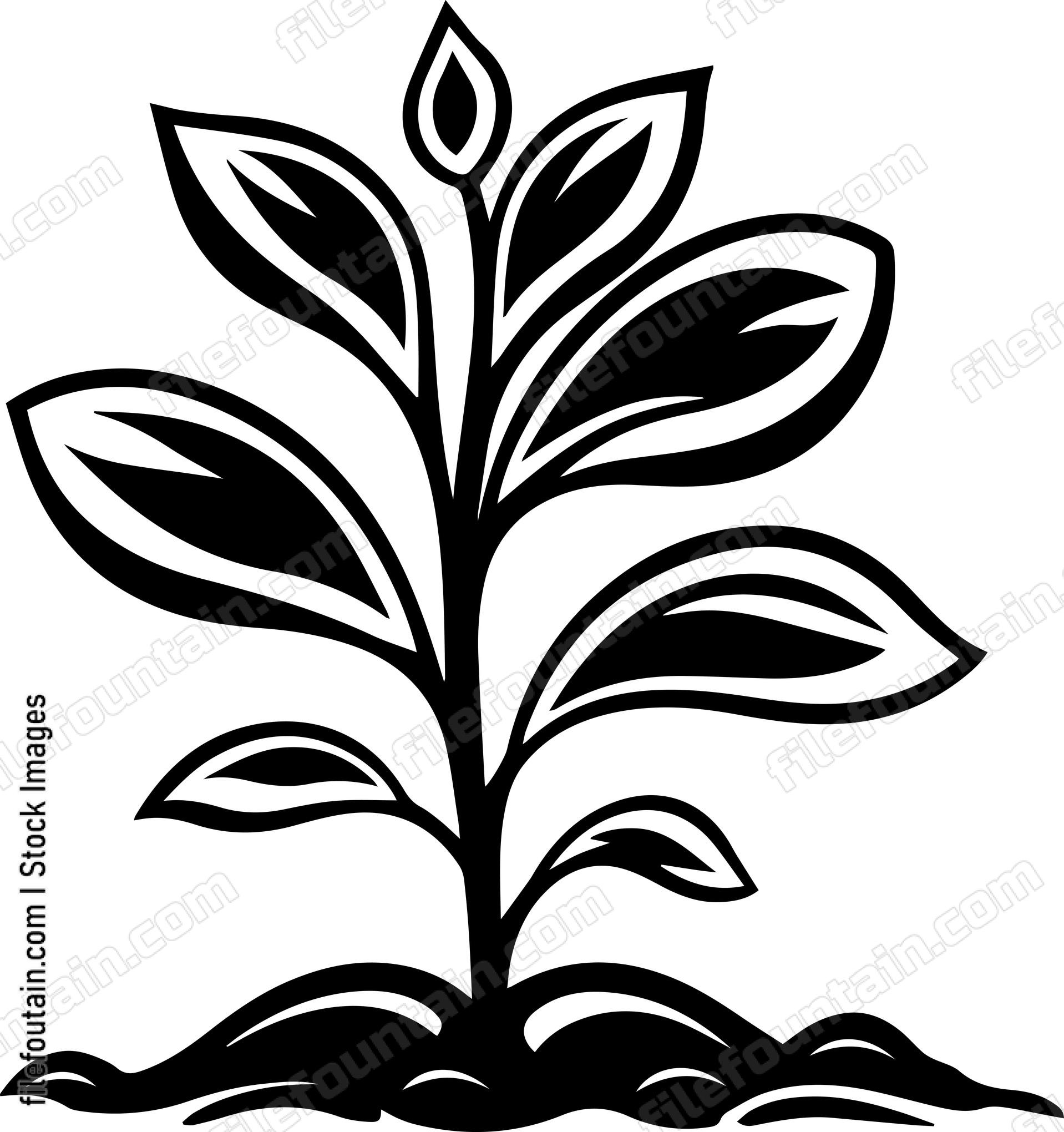 Green Sprout