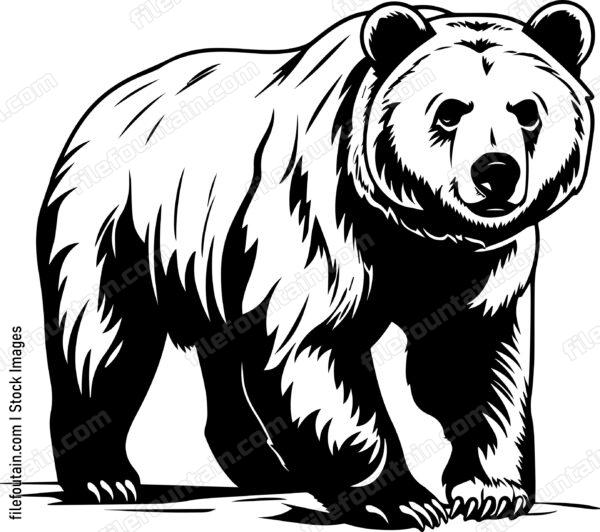 Grizzly Bear Front Body