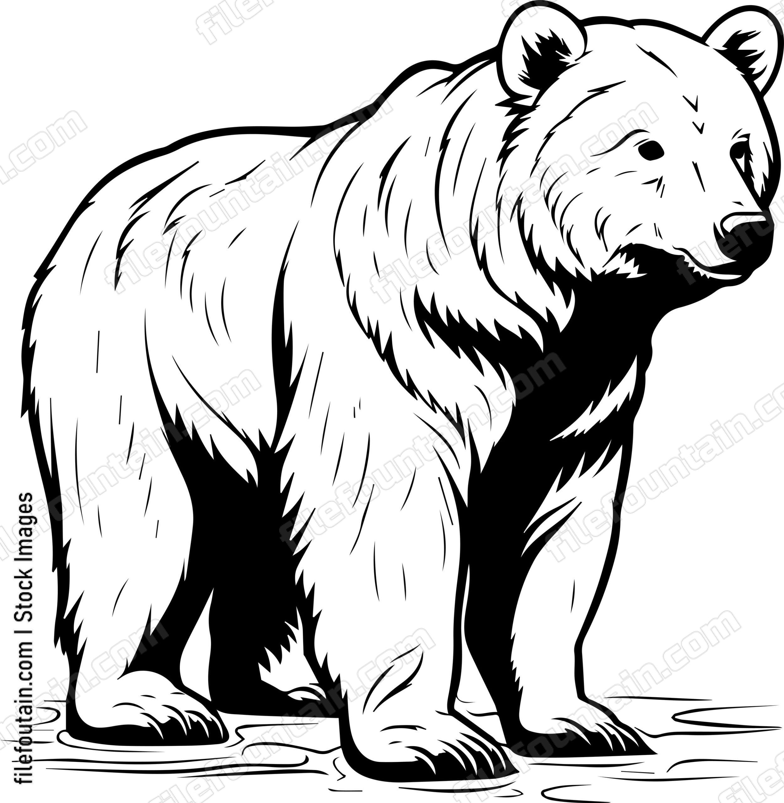 Grizzly Bear Standing
