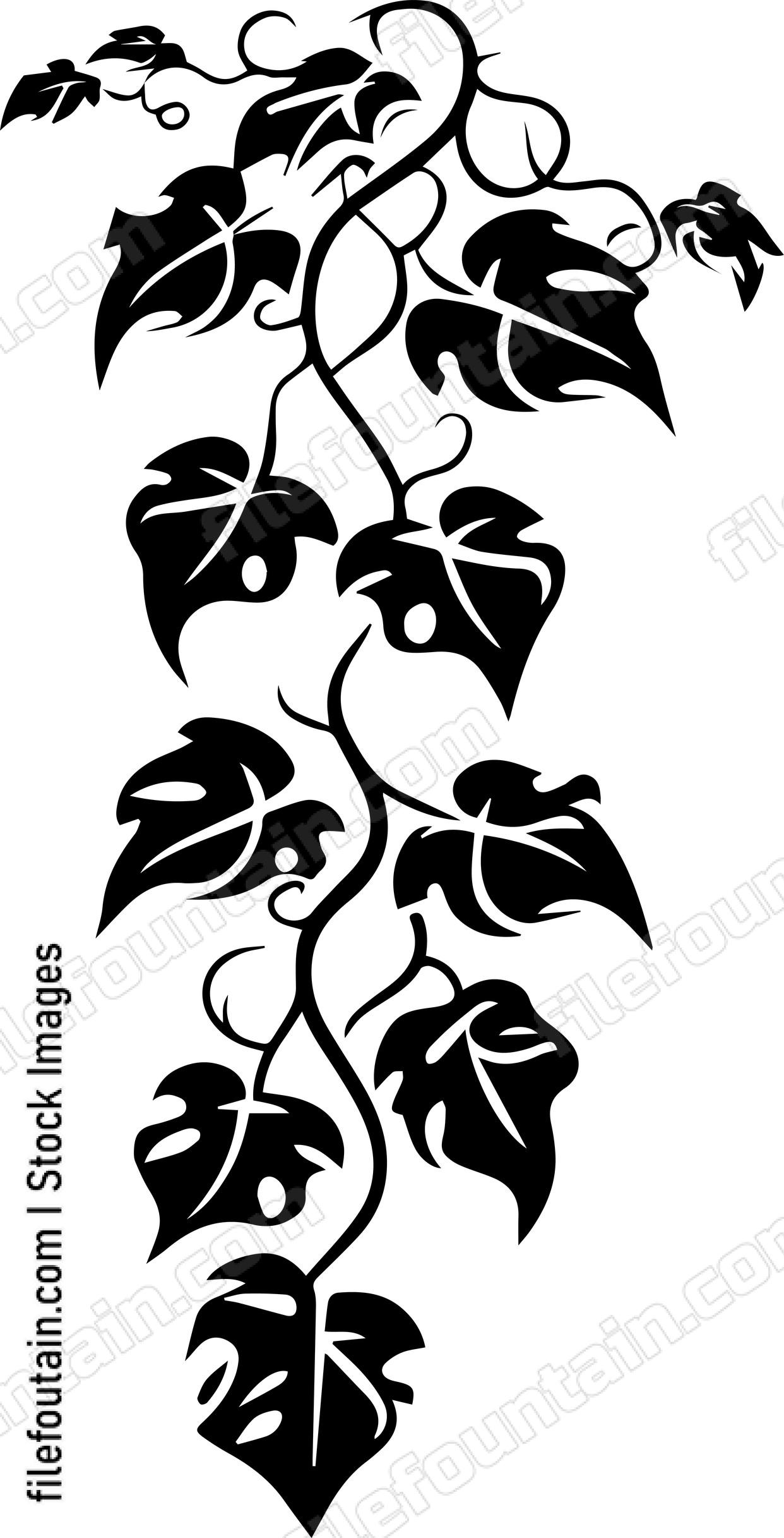 Hanging Ivy