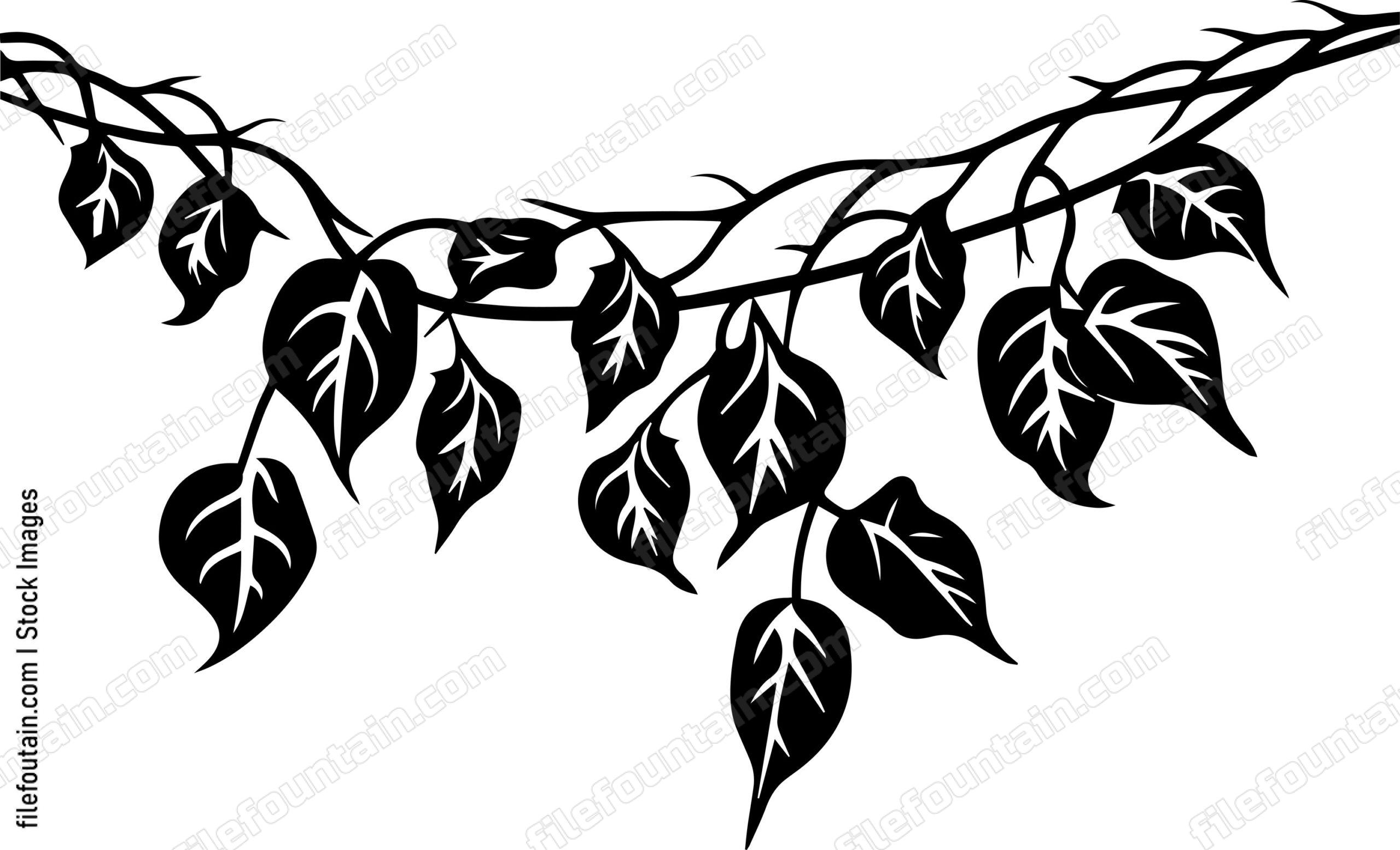 Hanging Ivy
