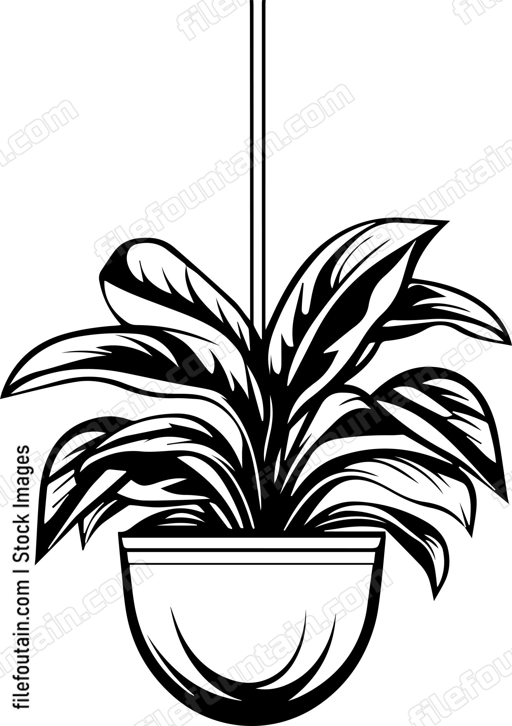 Hanging Planter