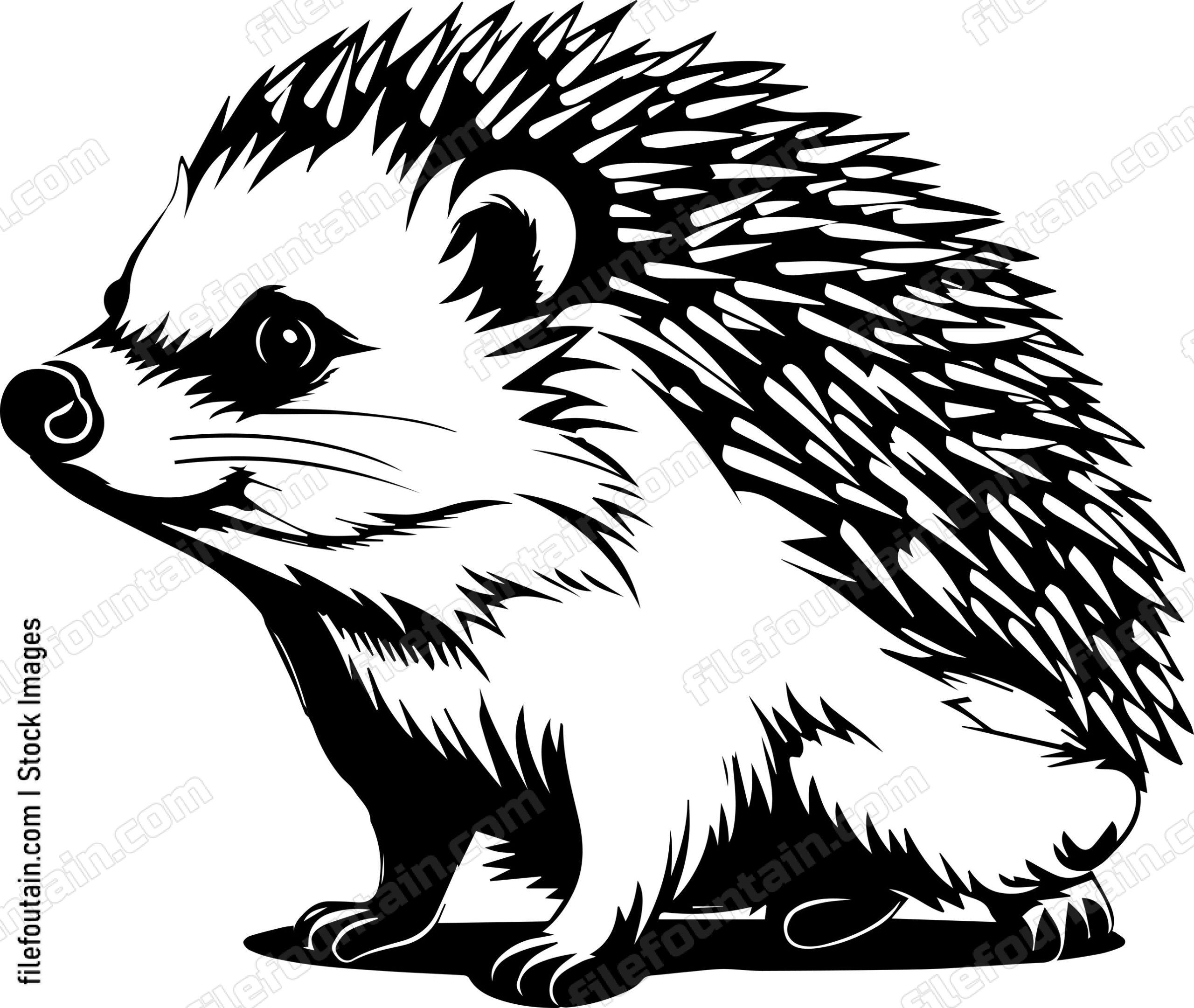 Hedgehog