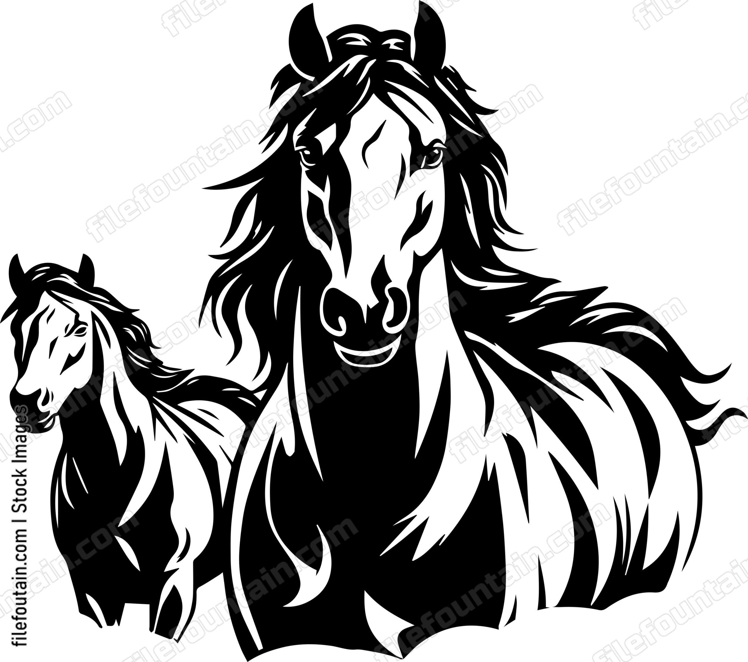 Herd Of Mustangs