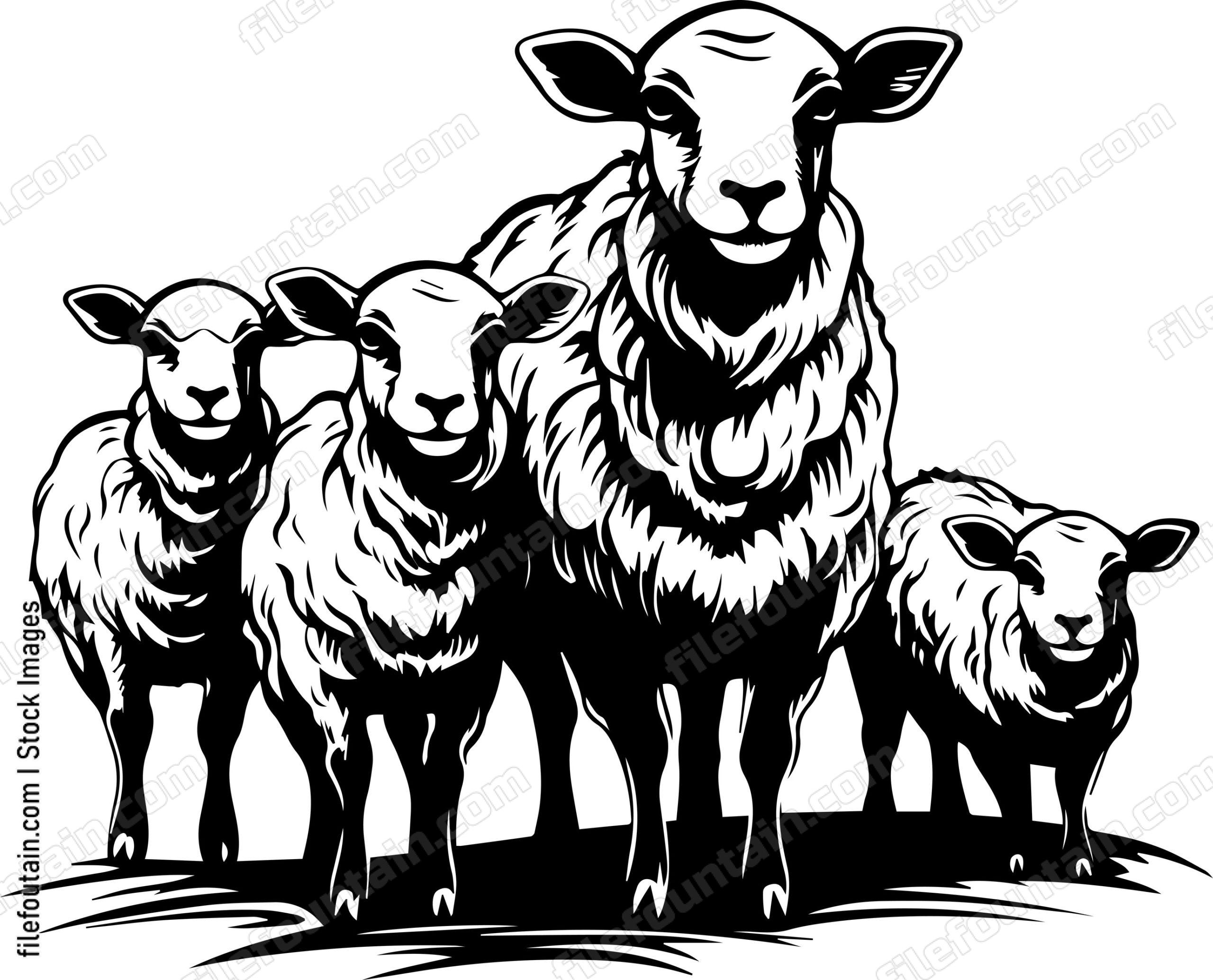 Herd Of Sheep