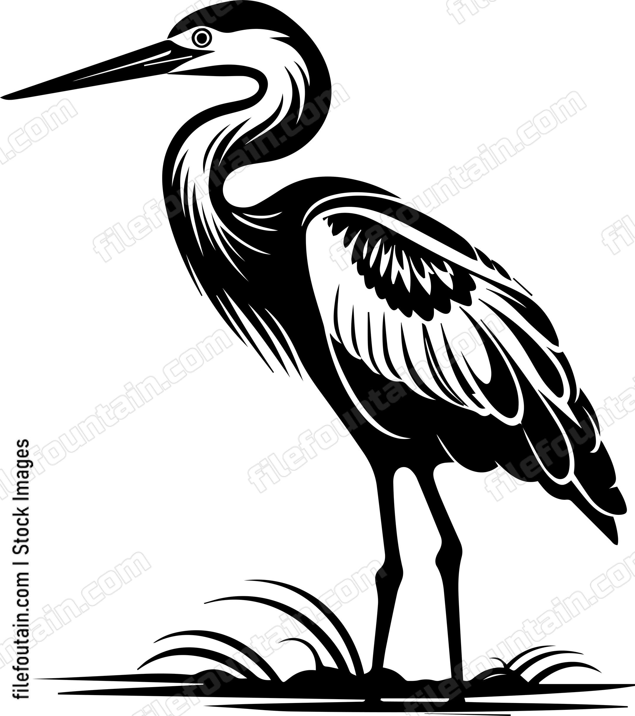 Heron Stork