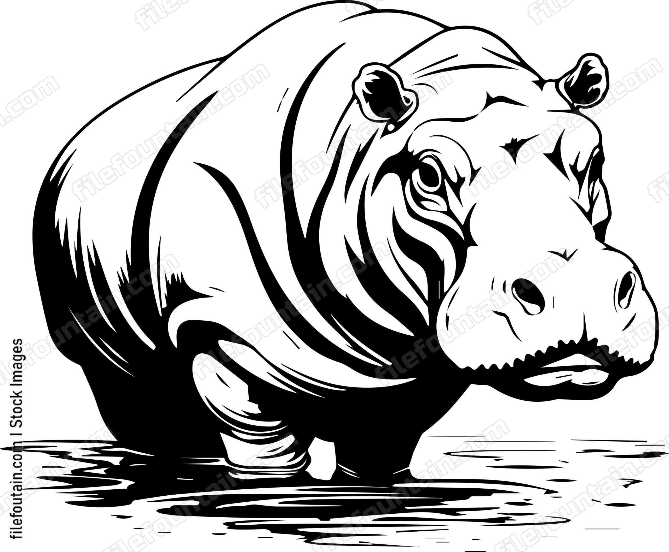 Hippo