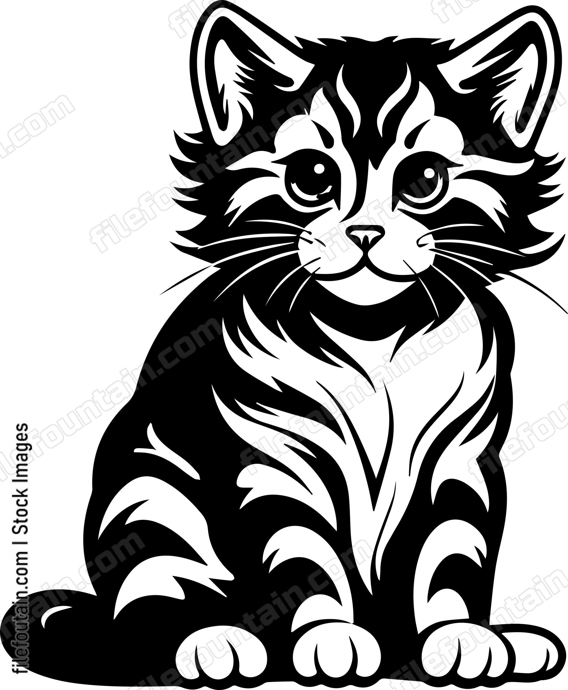 House Cat Pet