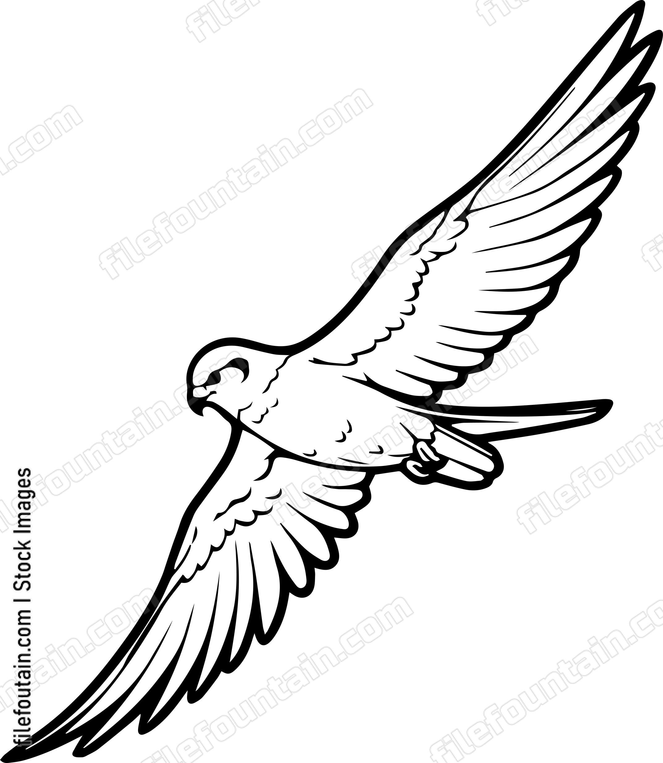 kestrel bird