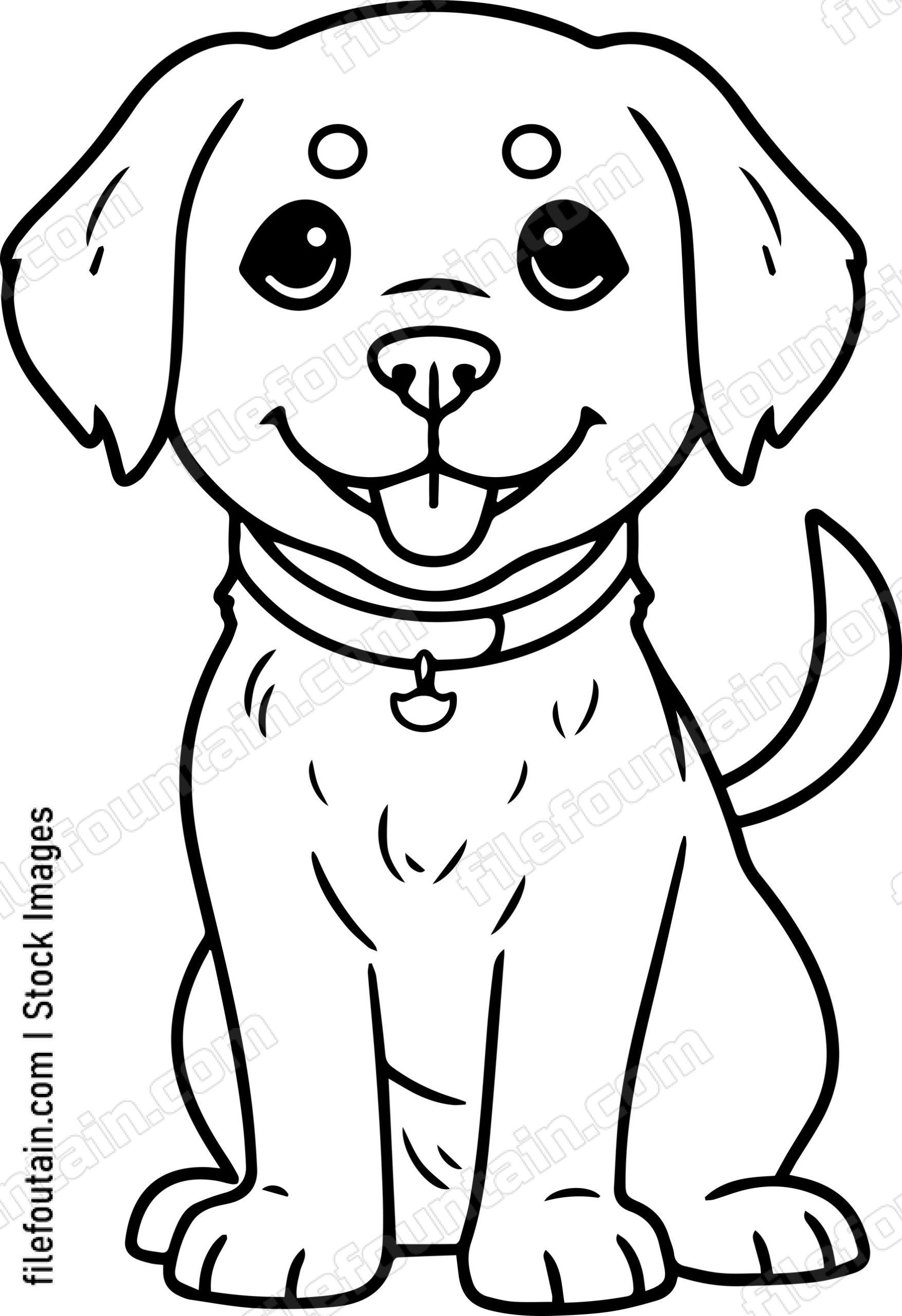 Labrador Retriever
