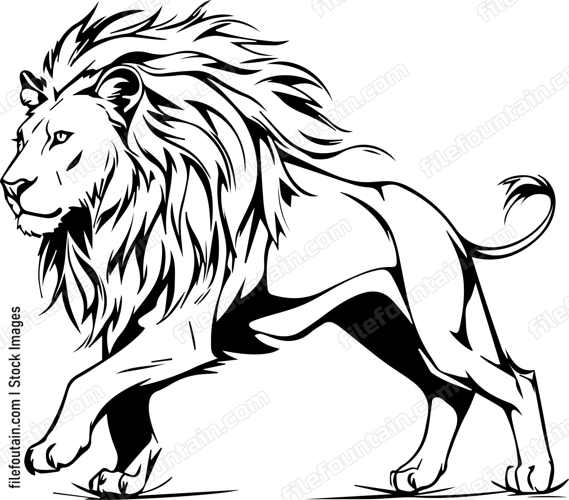 lion walking