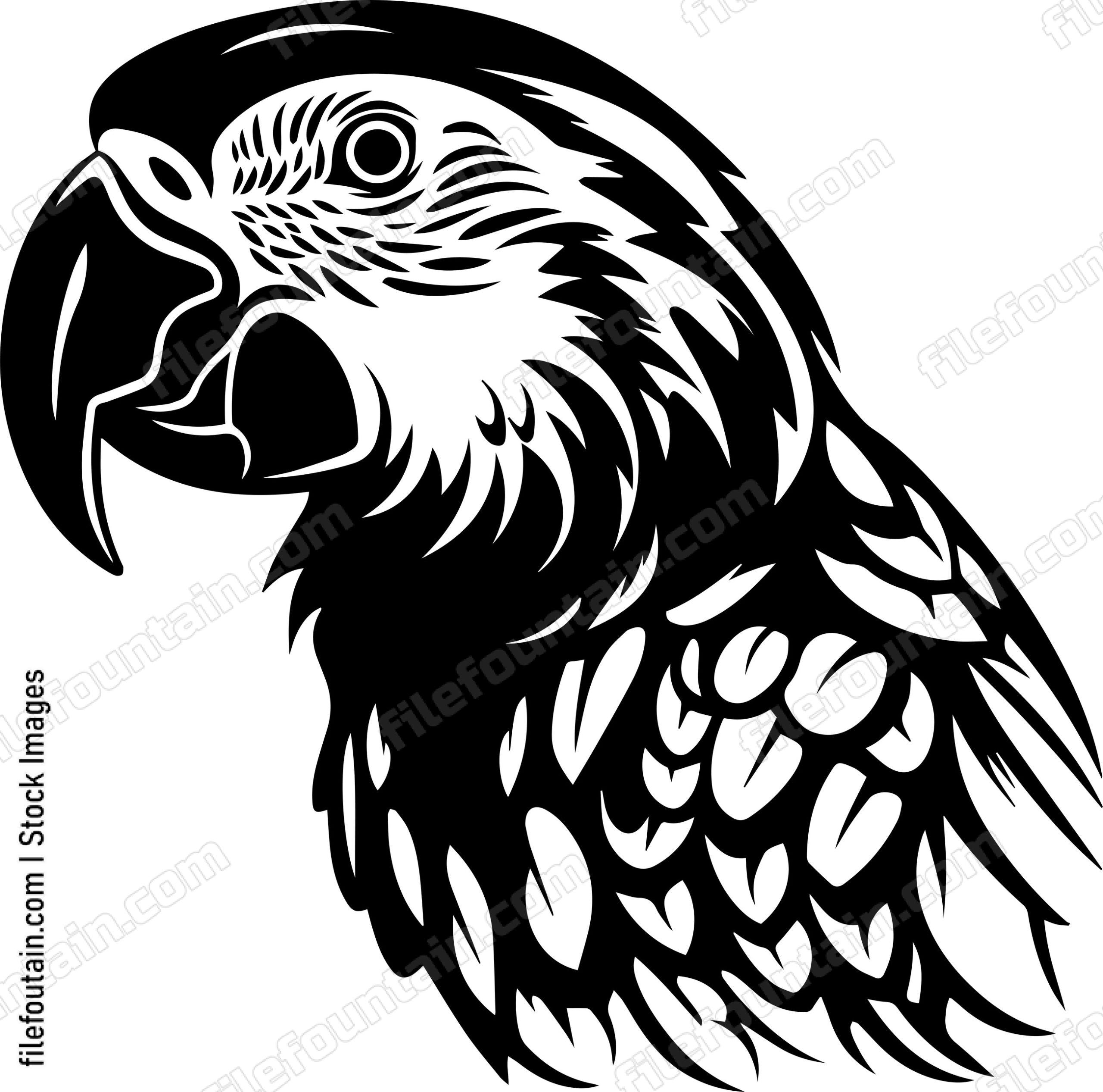 Macaw