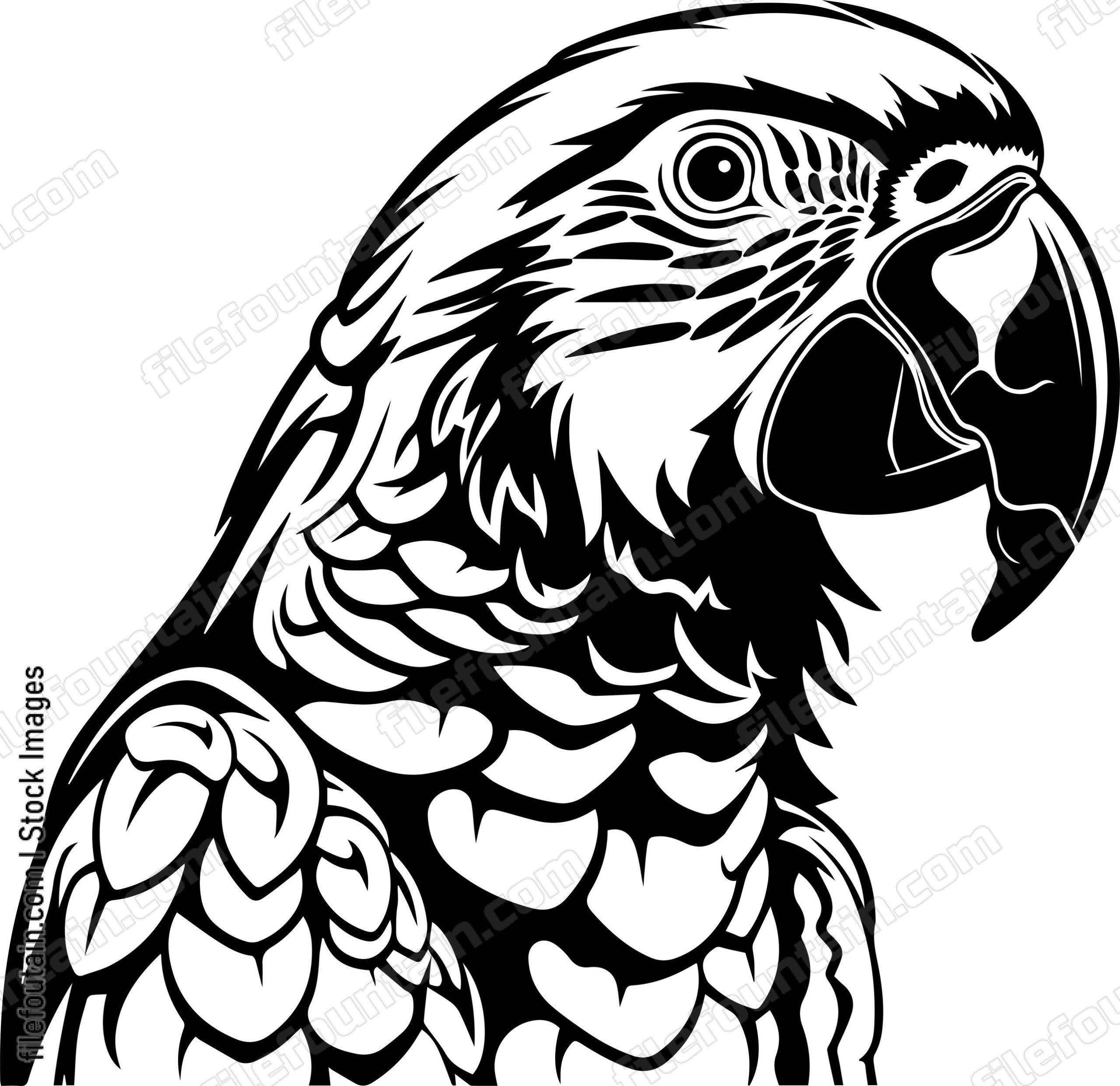 Macaw Parrot