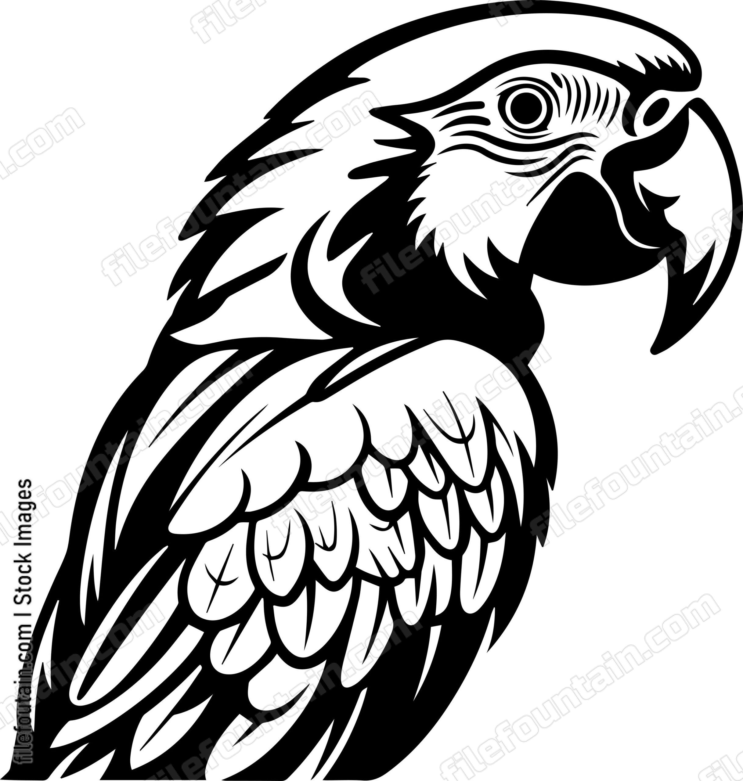 Macaw Parrot Style