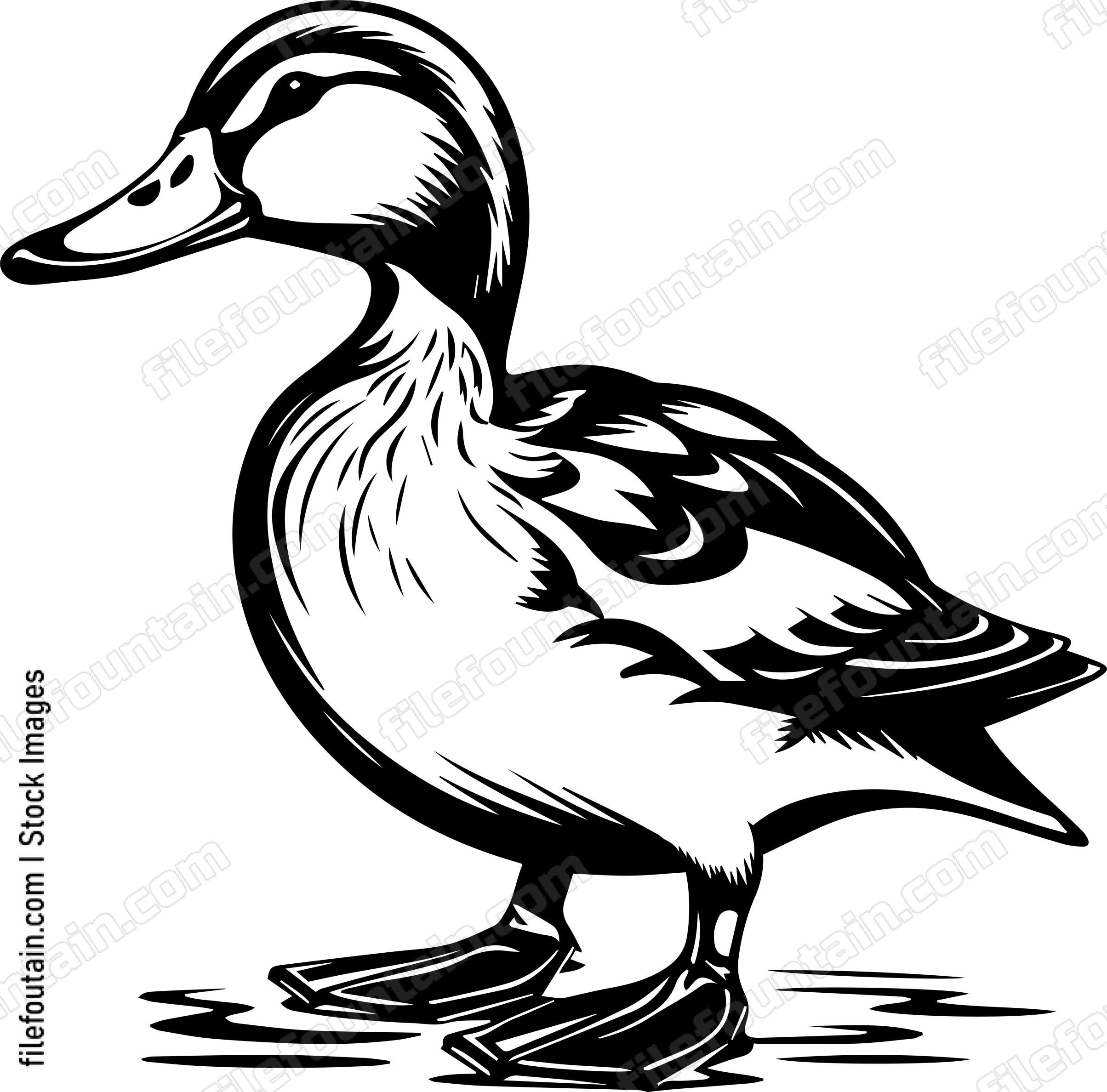 Mallard