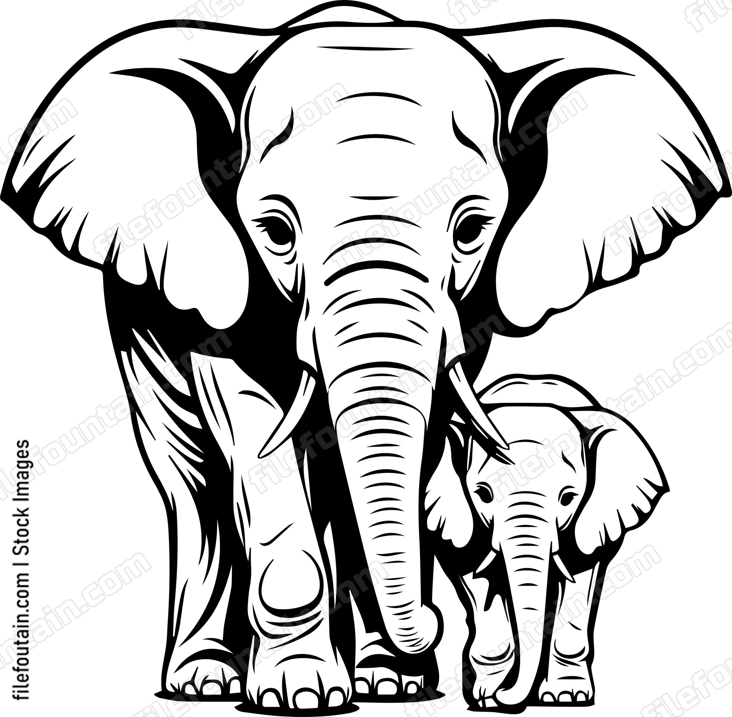 Mama And Baby Elephant