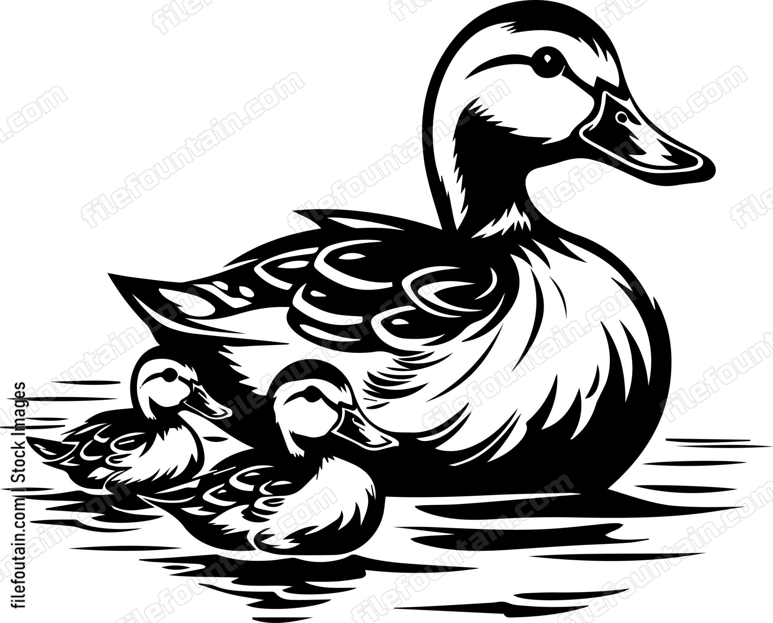 Mama Duck And Babies