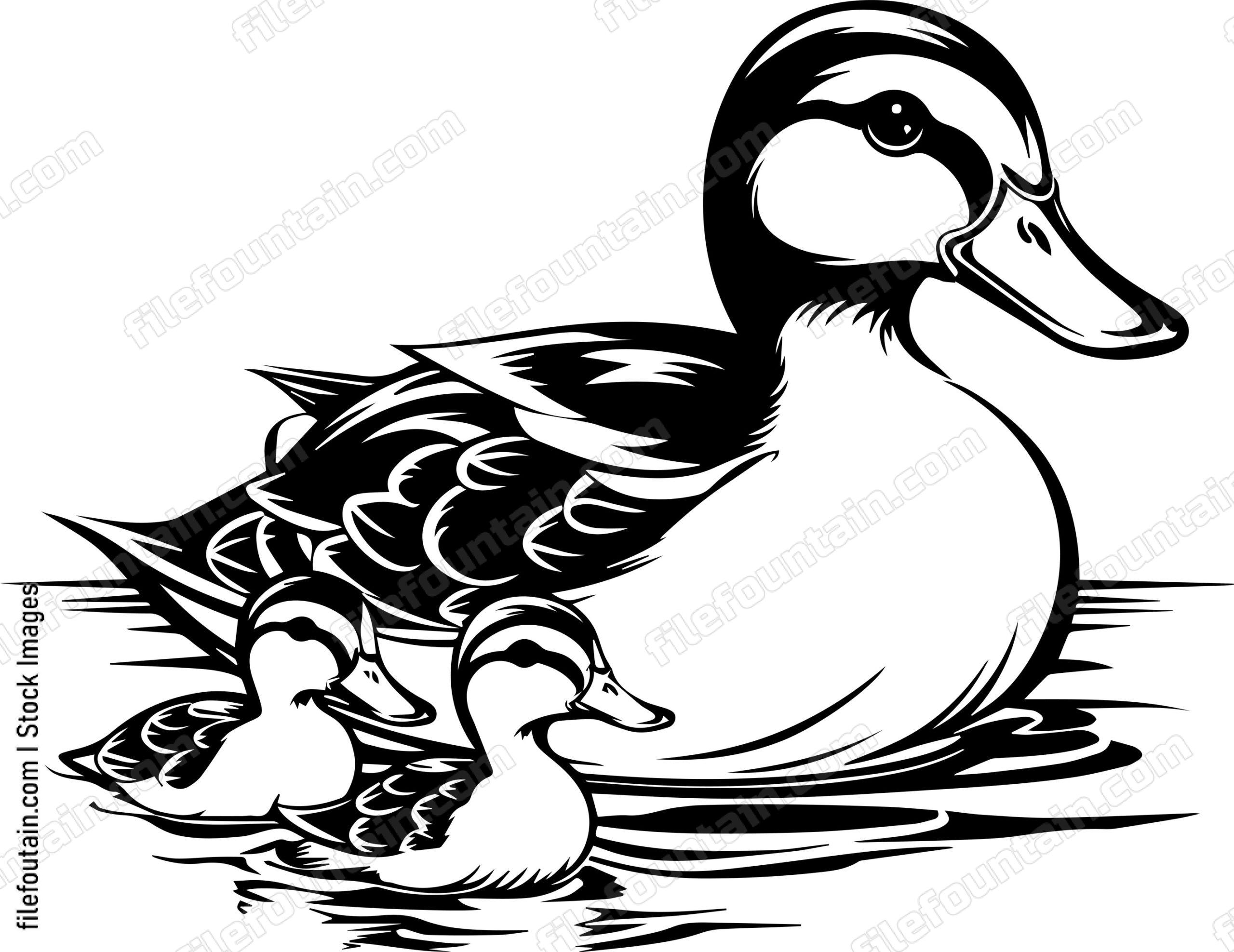 Mama Duck And Babies