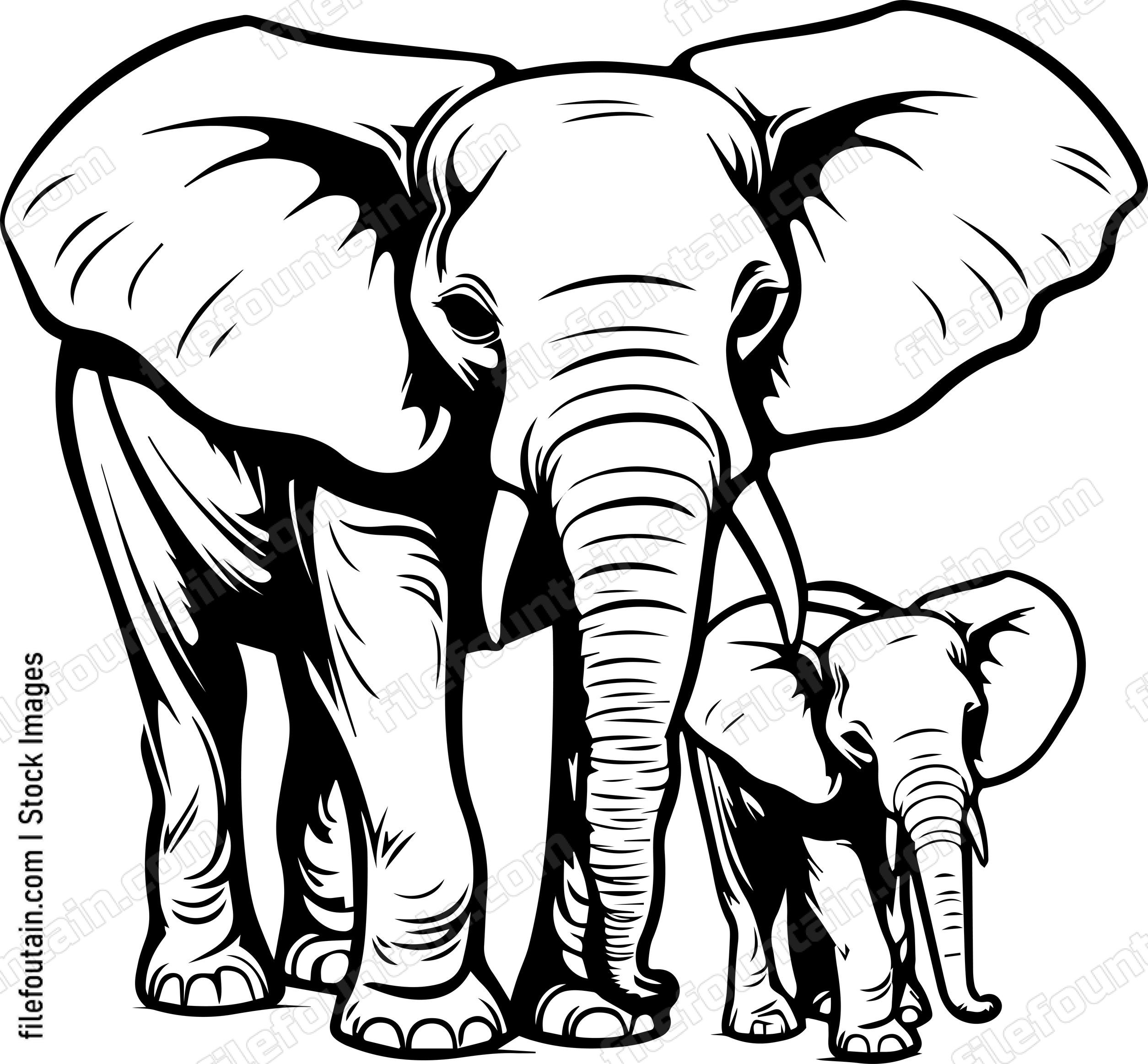 Mama Elephant And Baby