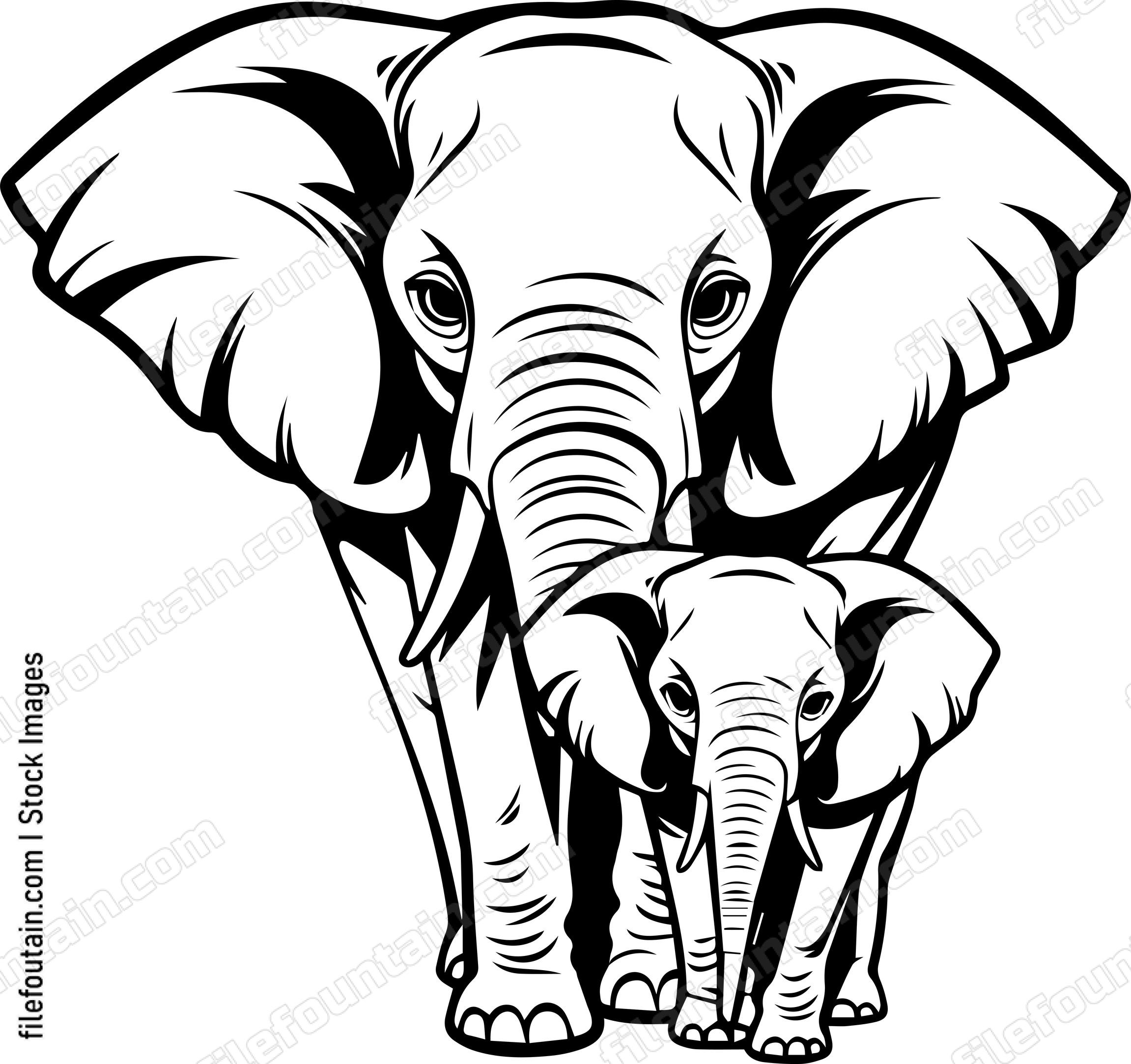 Mama Elephant And Baby