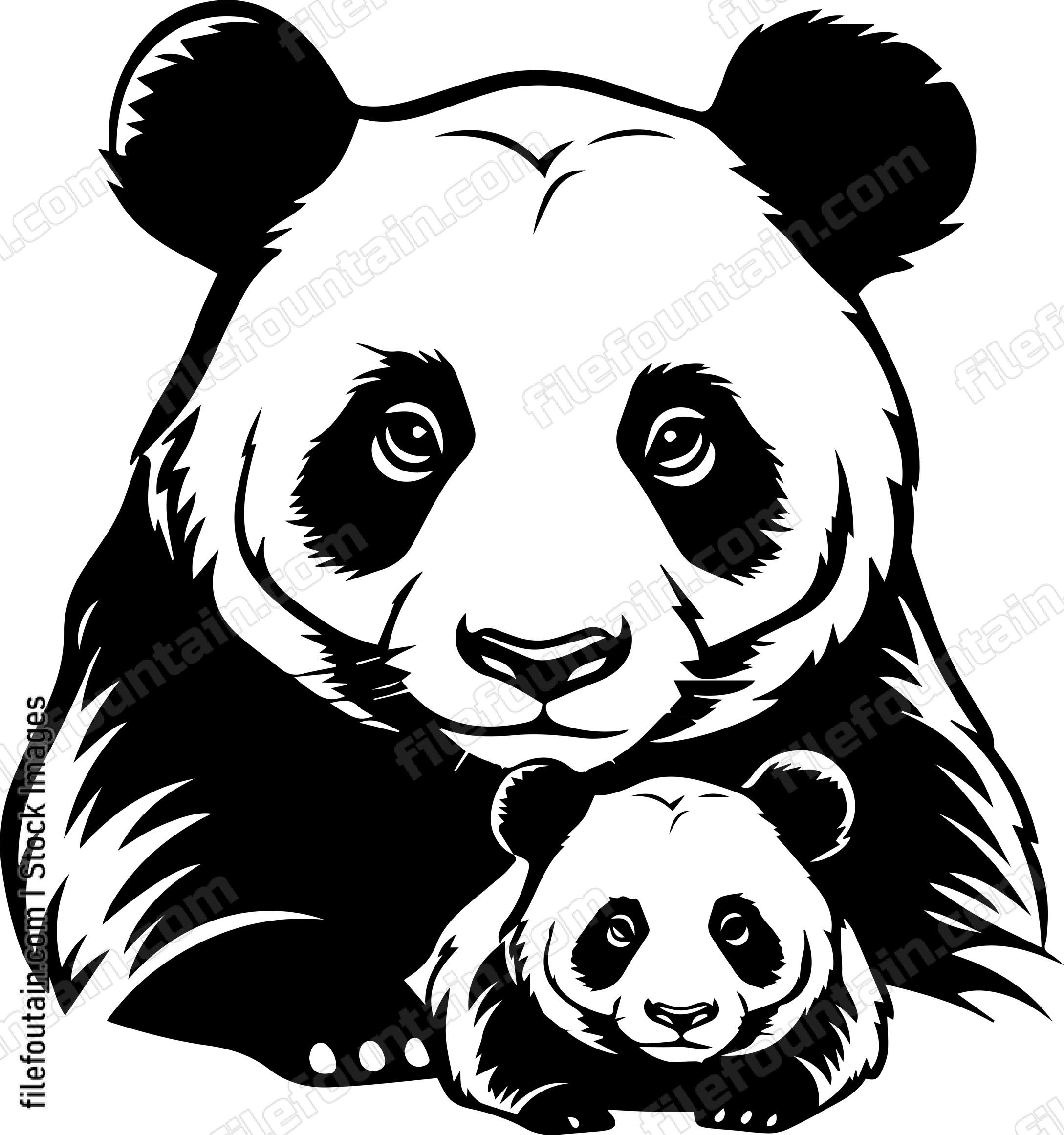 Mama Panda And Baby Panda