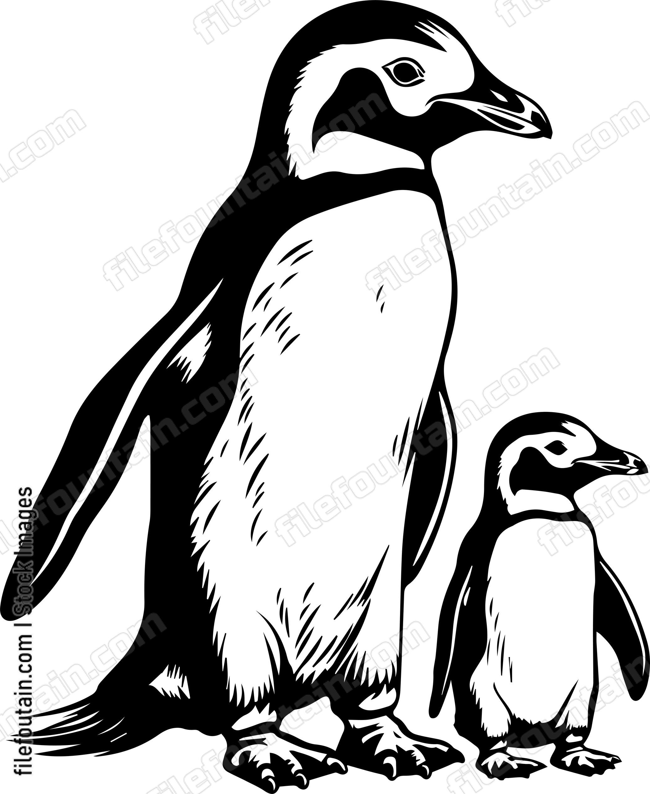 Mama Penguin And Baby