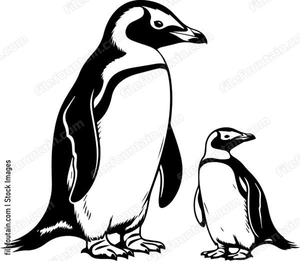 Mama Penguin And Baby