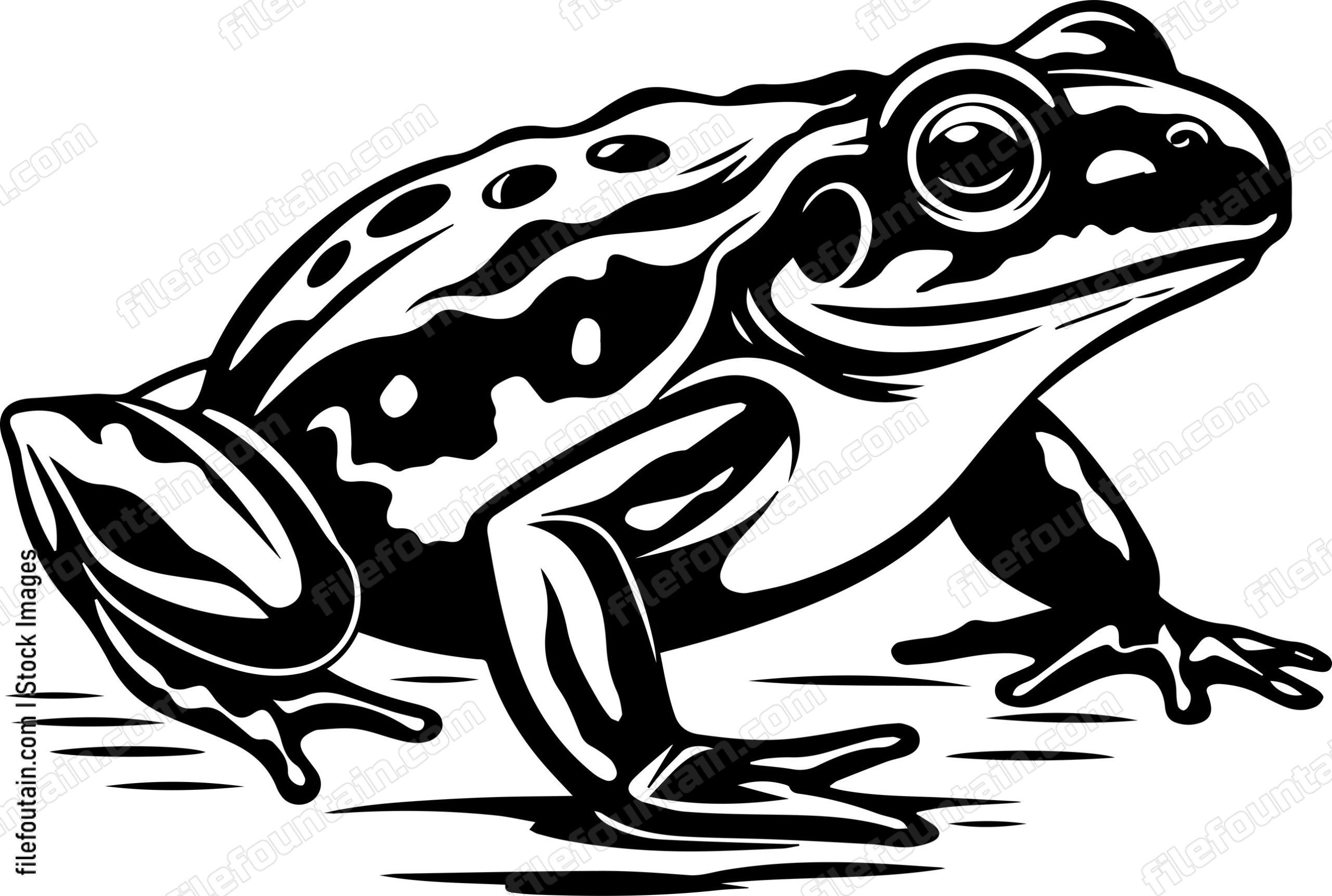 Marsh Frog