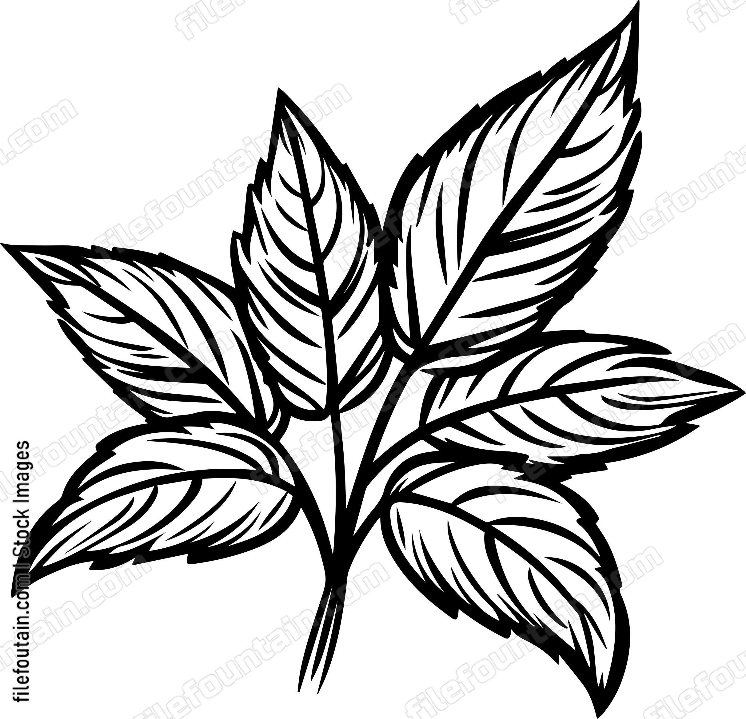 Mint Leaves