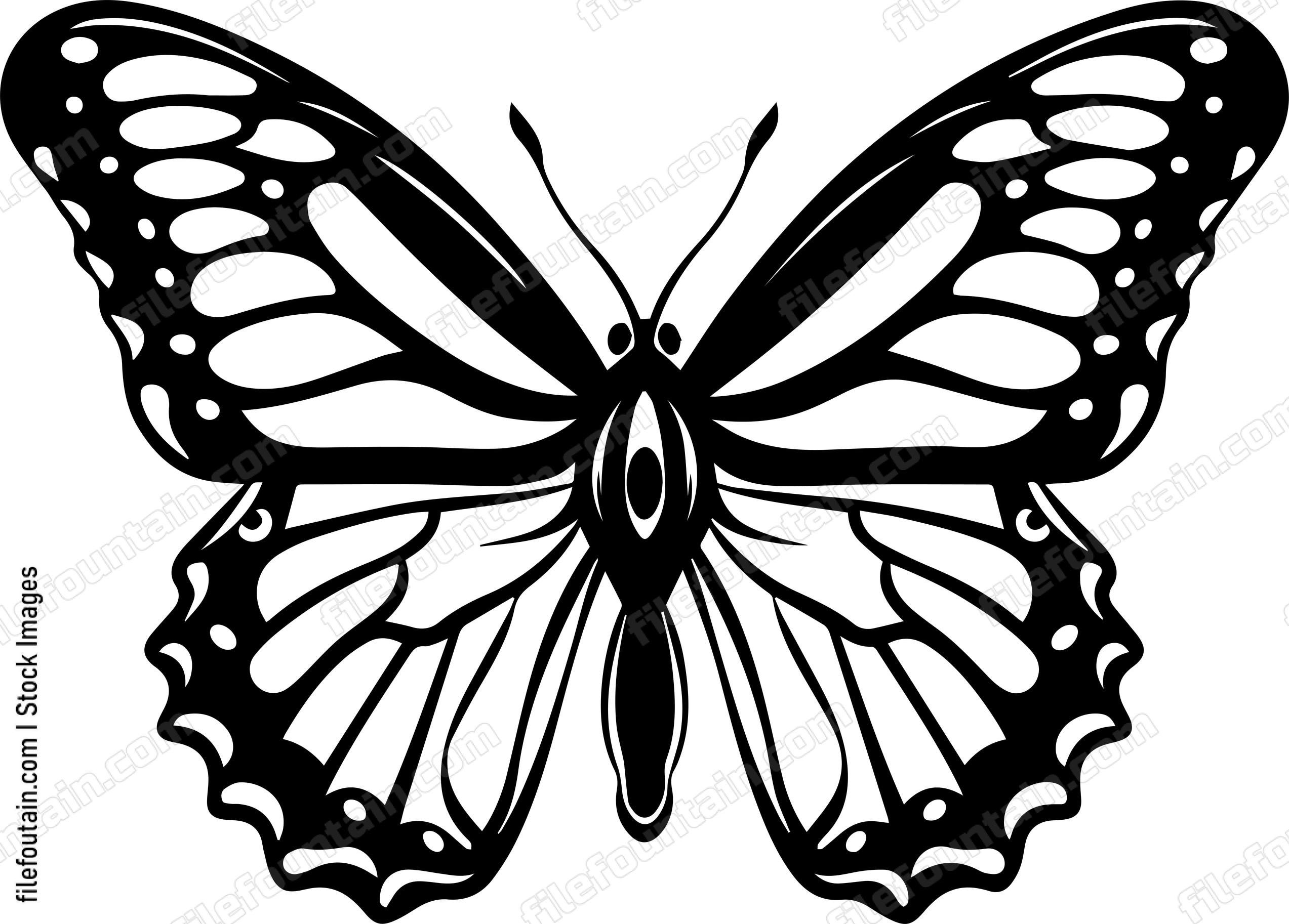 Monarch Butterfly