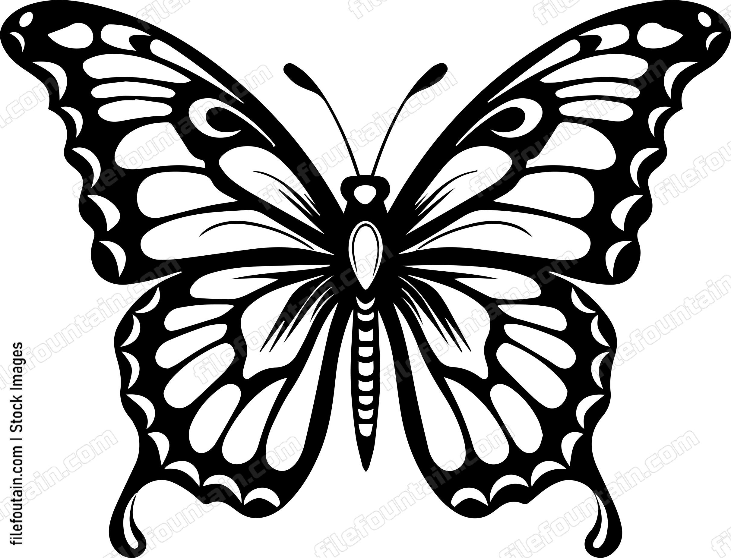 Monarch Butterfly