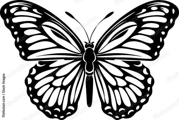 Monarch Butterfly