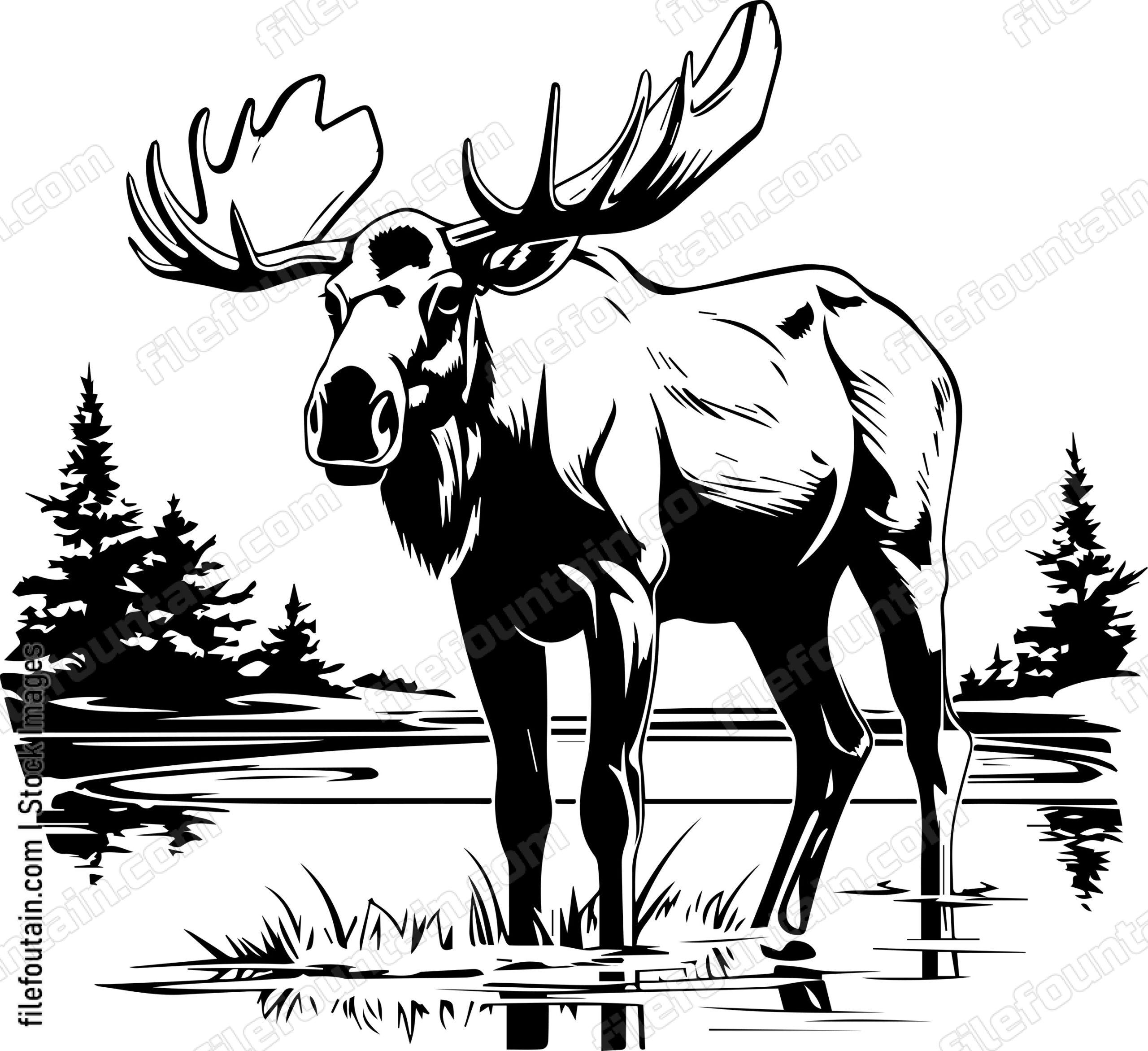 Moose