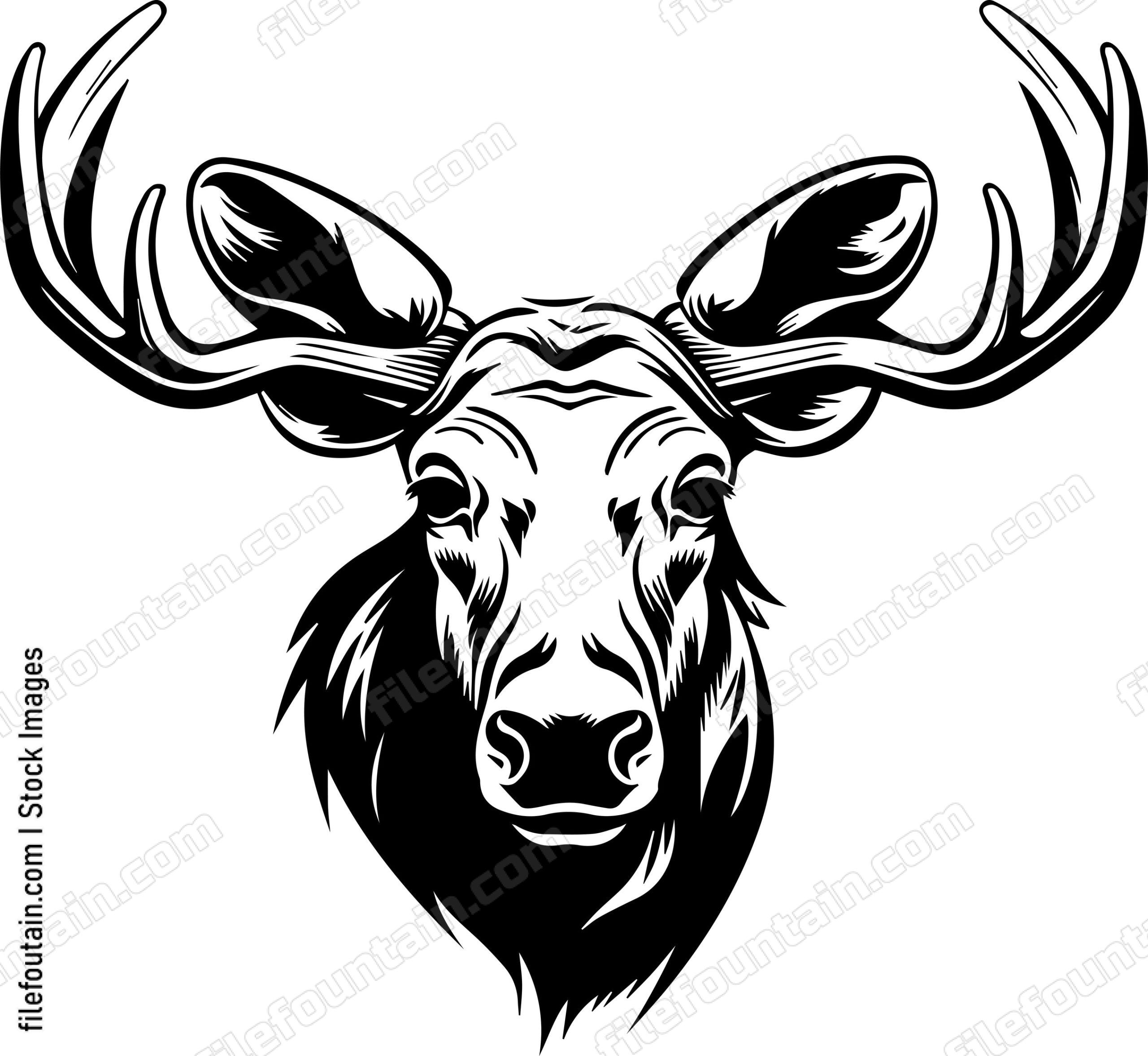 Moose Head