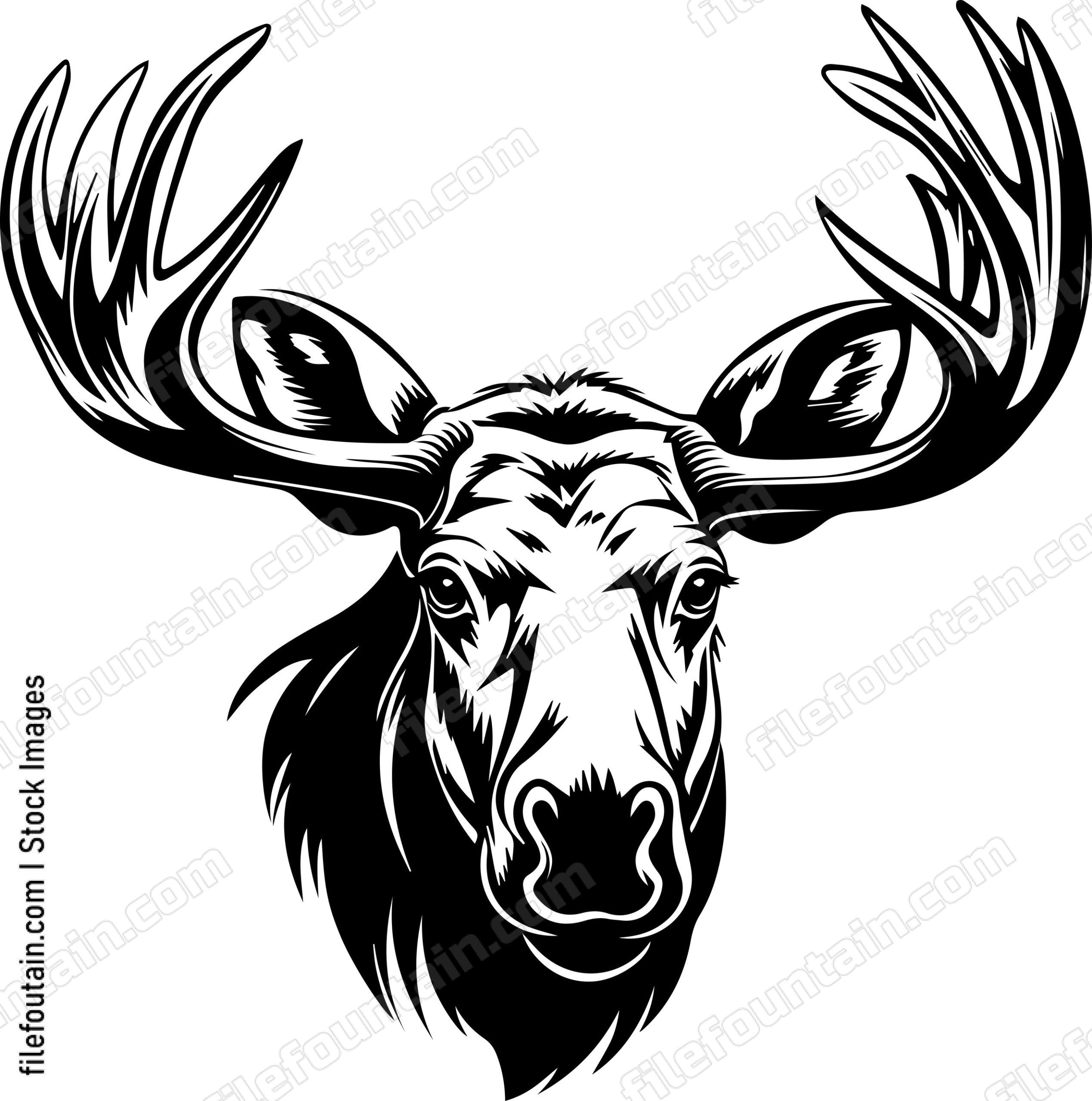 Moose Head