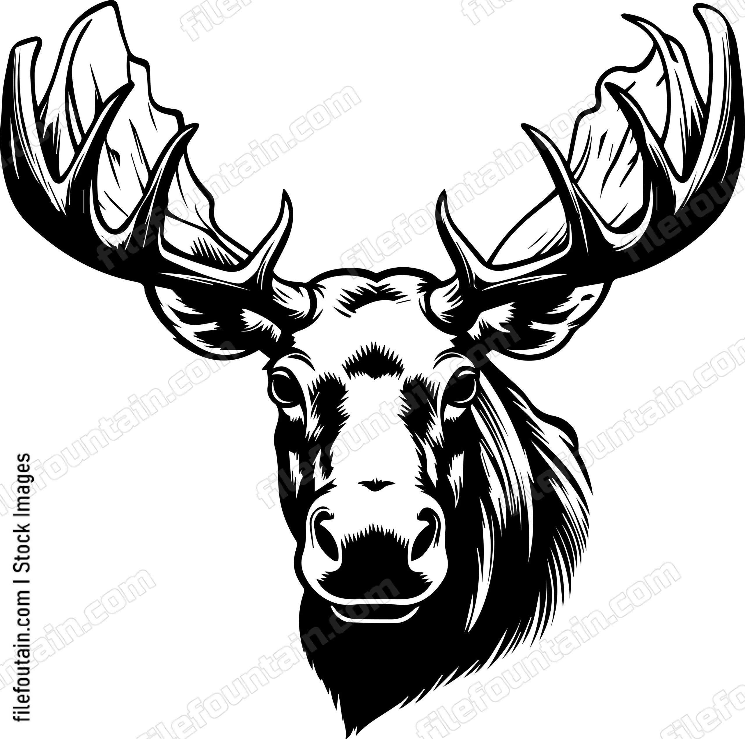 Moose Head