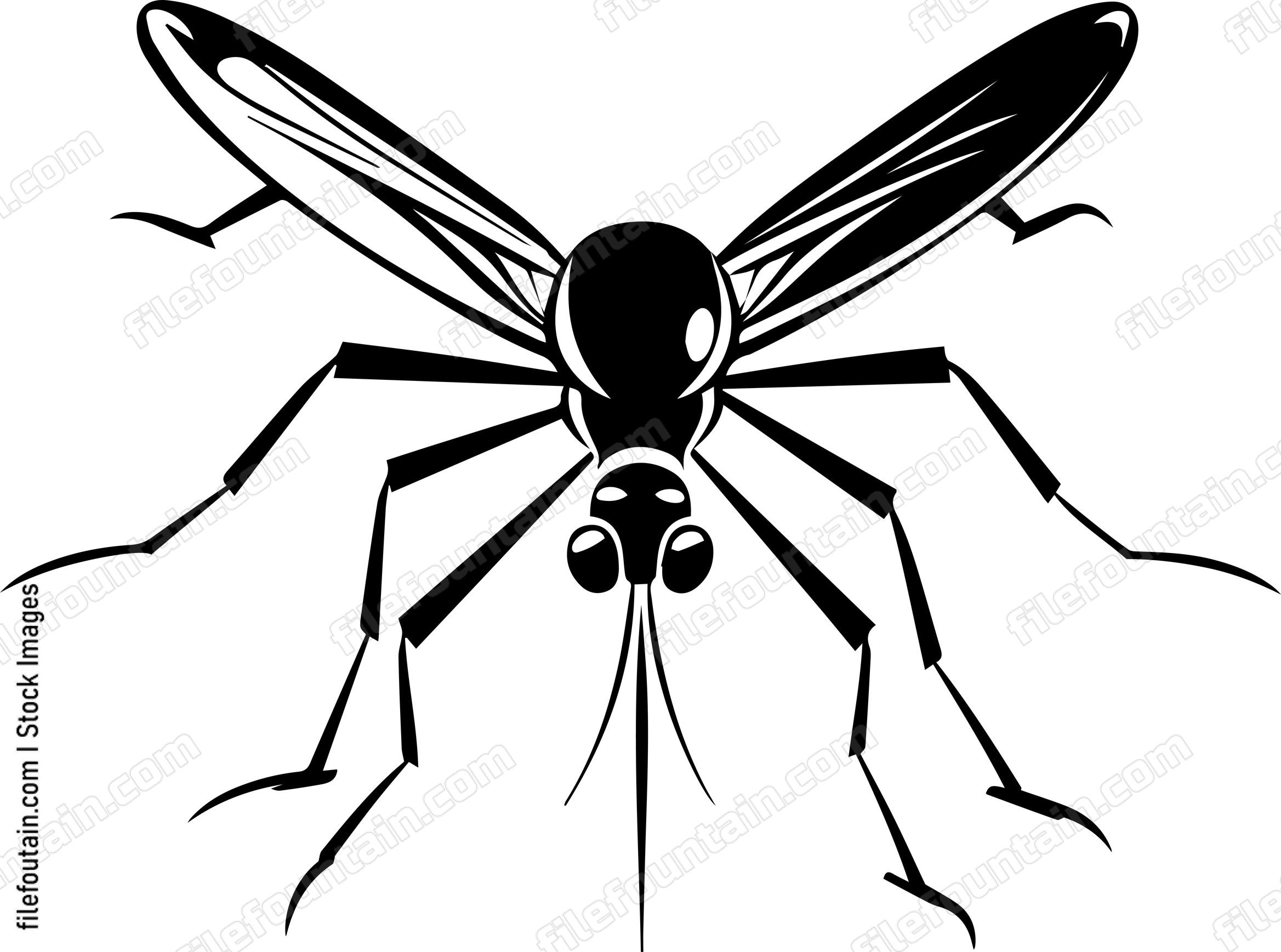 Mosquito
